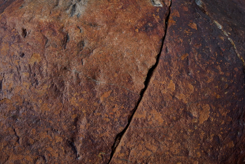 a close up of a rock with a bird perched on top of it