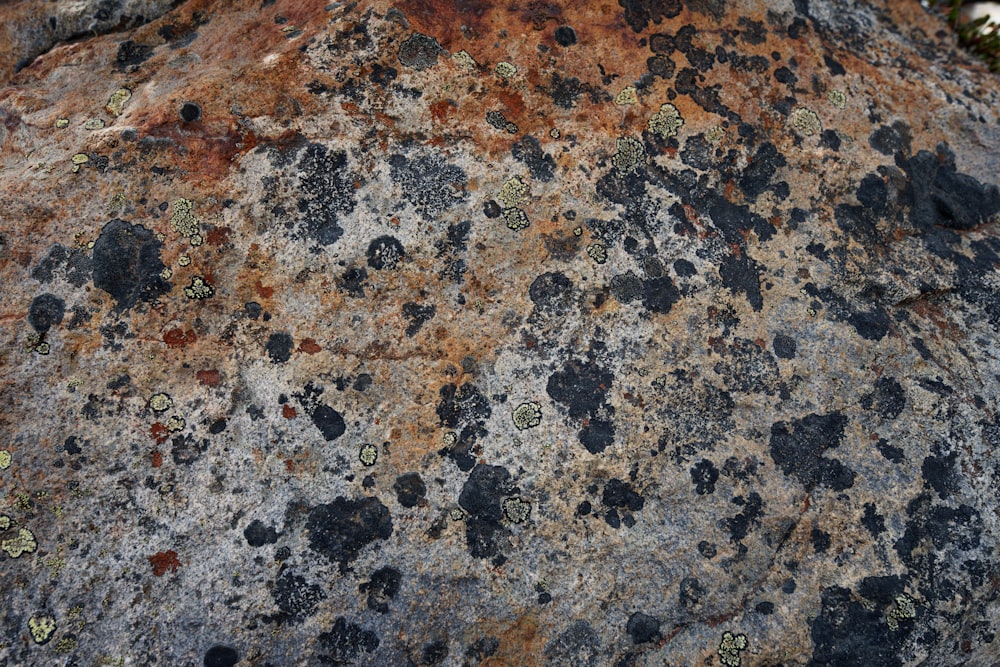 a close up of a rock with many small rocks on it