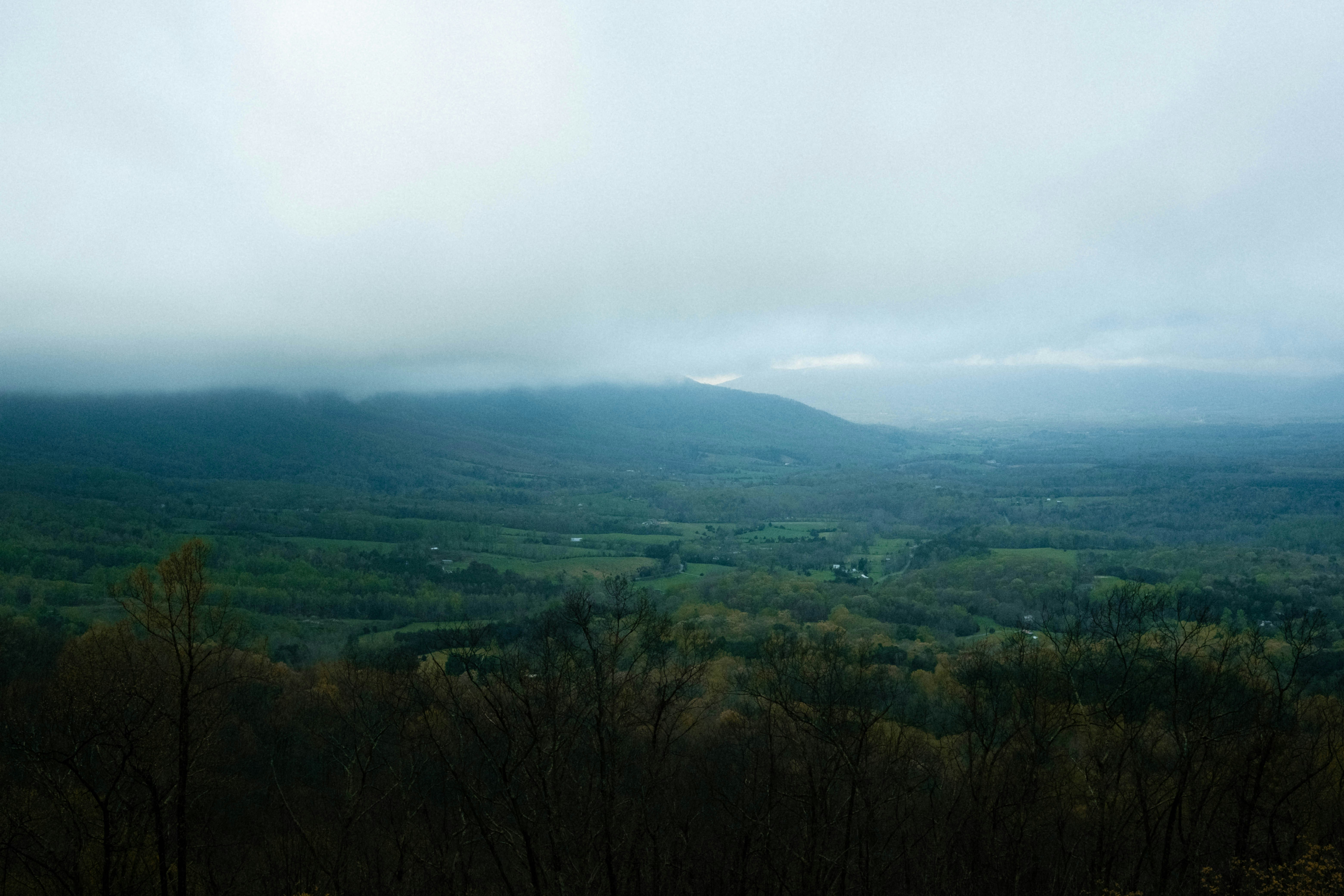 Photo by drewwalkerphoto