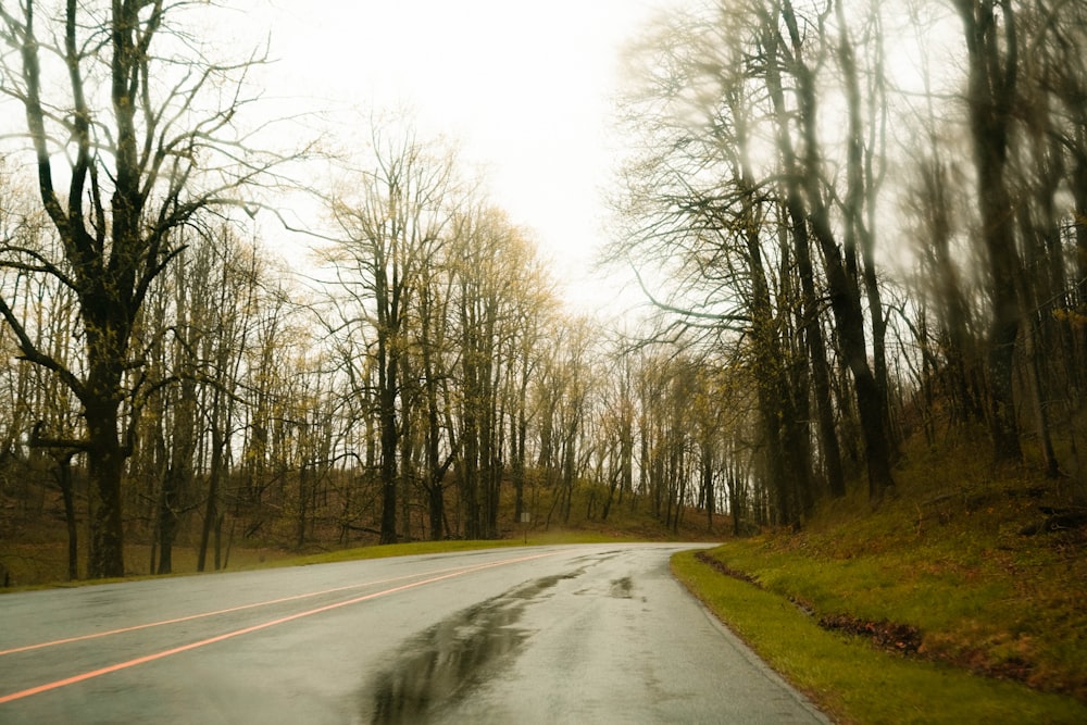 a wet road in the middle of a wooded area