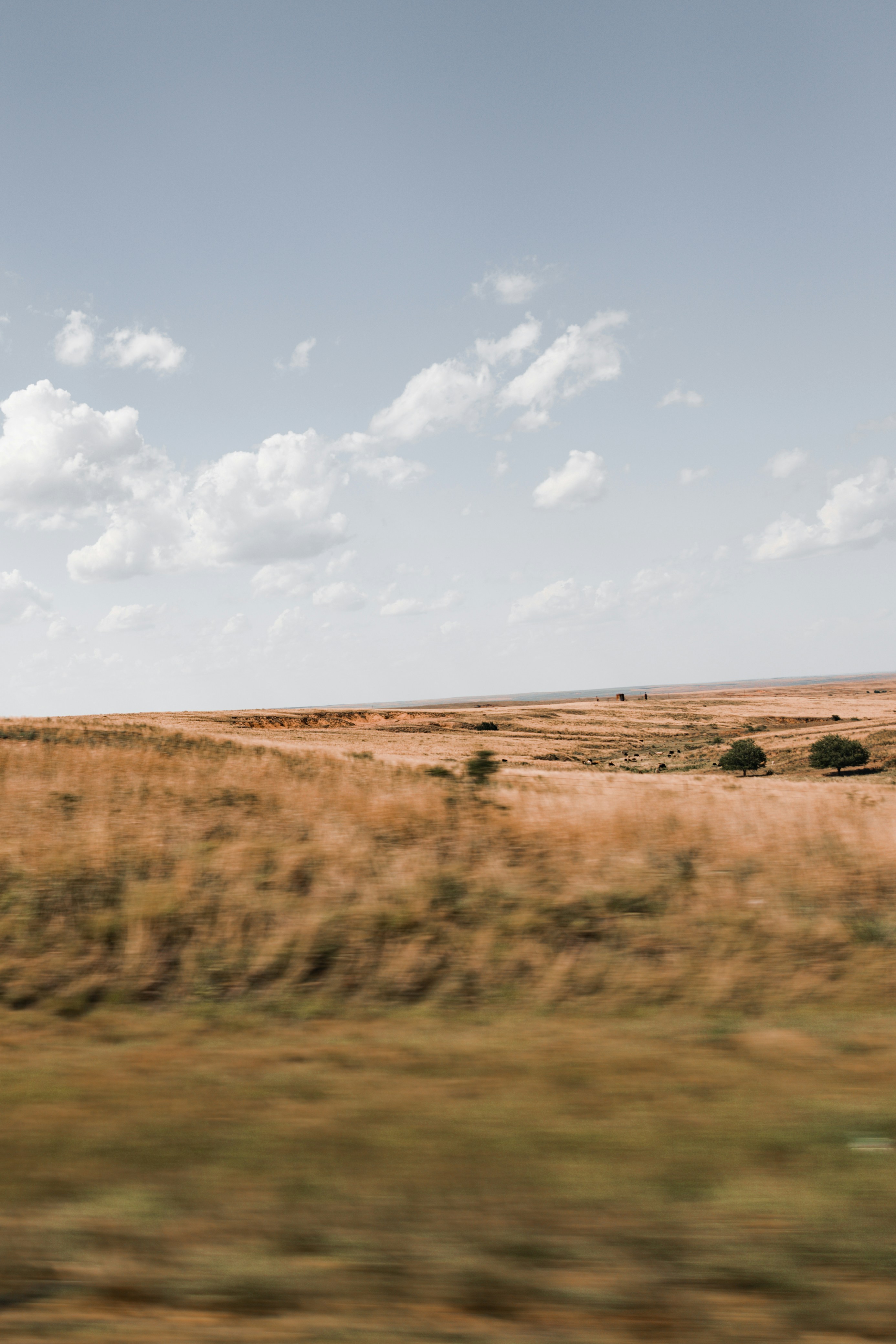 un campo de hierba con un cielo al fondo