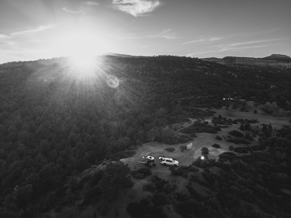 a black and white photo of the sun shining over a forest