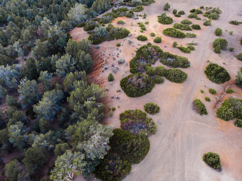 an aerial view of a dirt road surrounded by trees