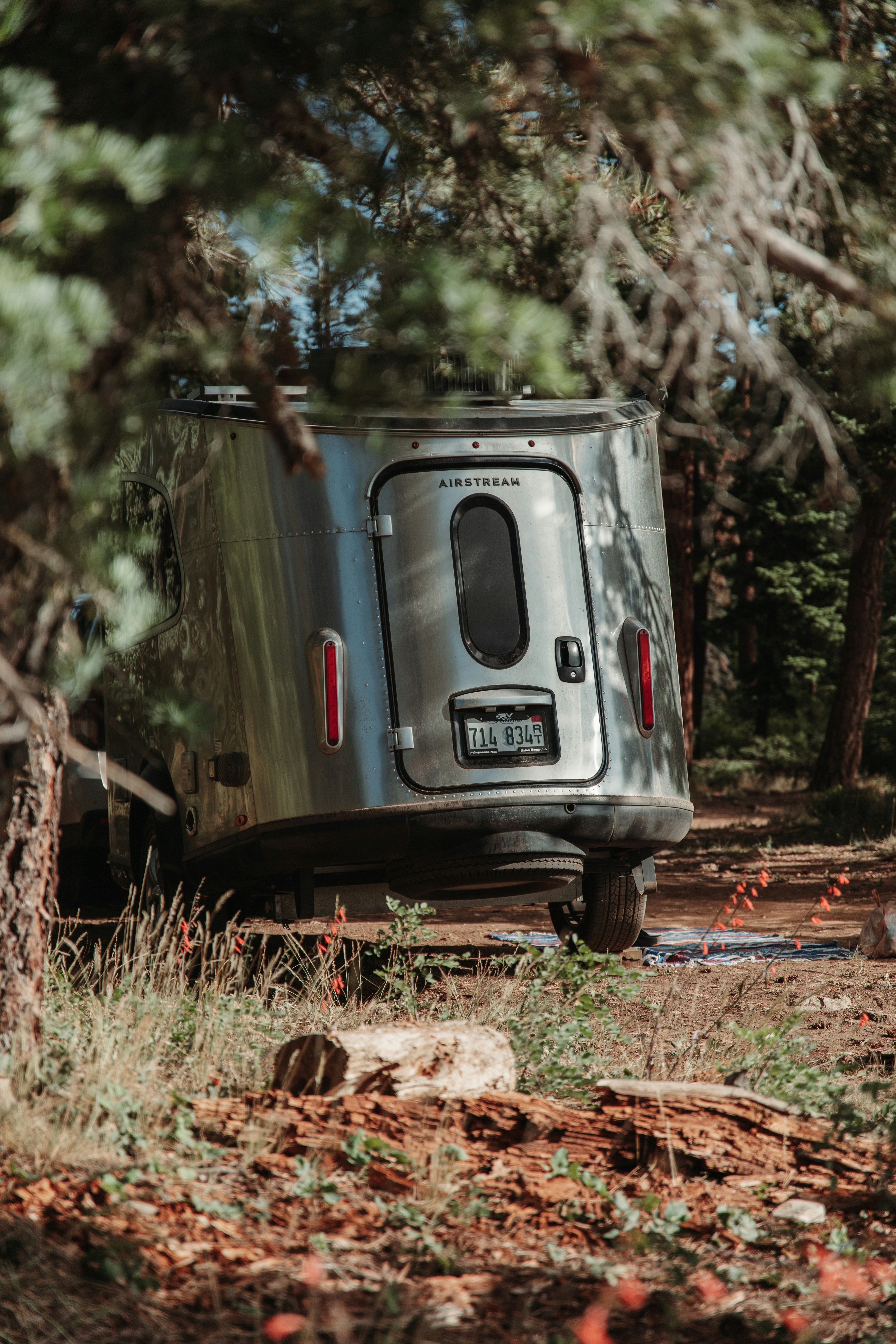 Un remolque aparcado en una zona boscosa junto a árboles