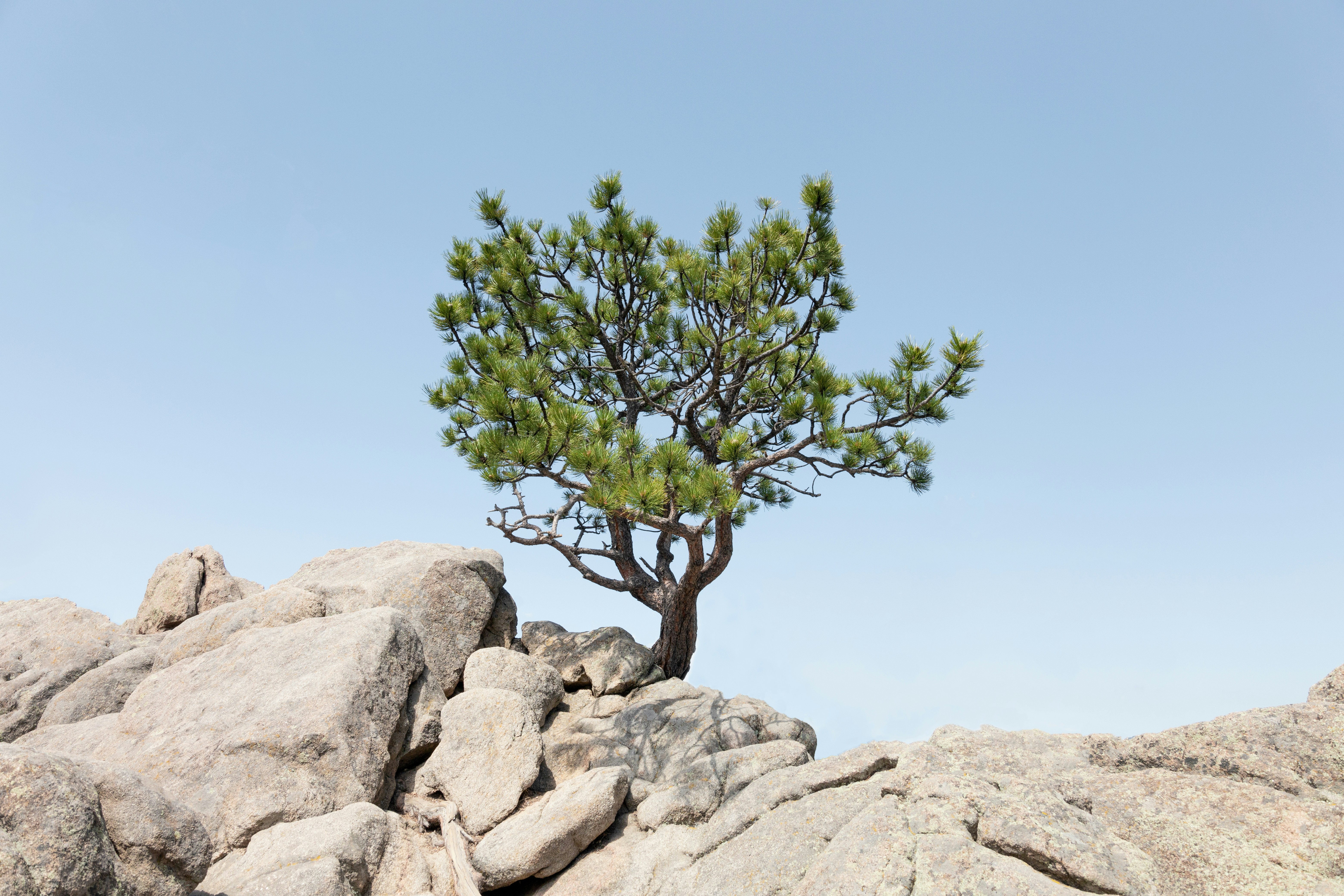 Photo by drewwalkerphoto