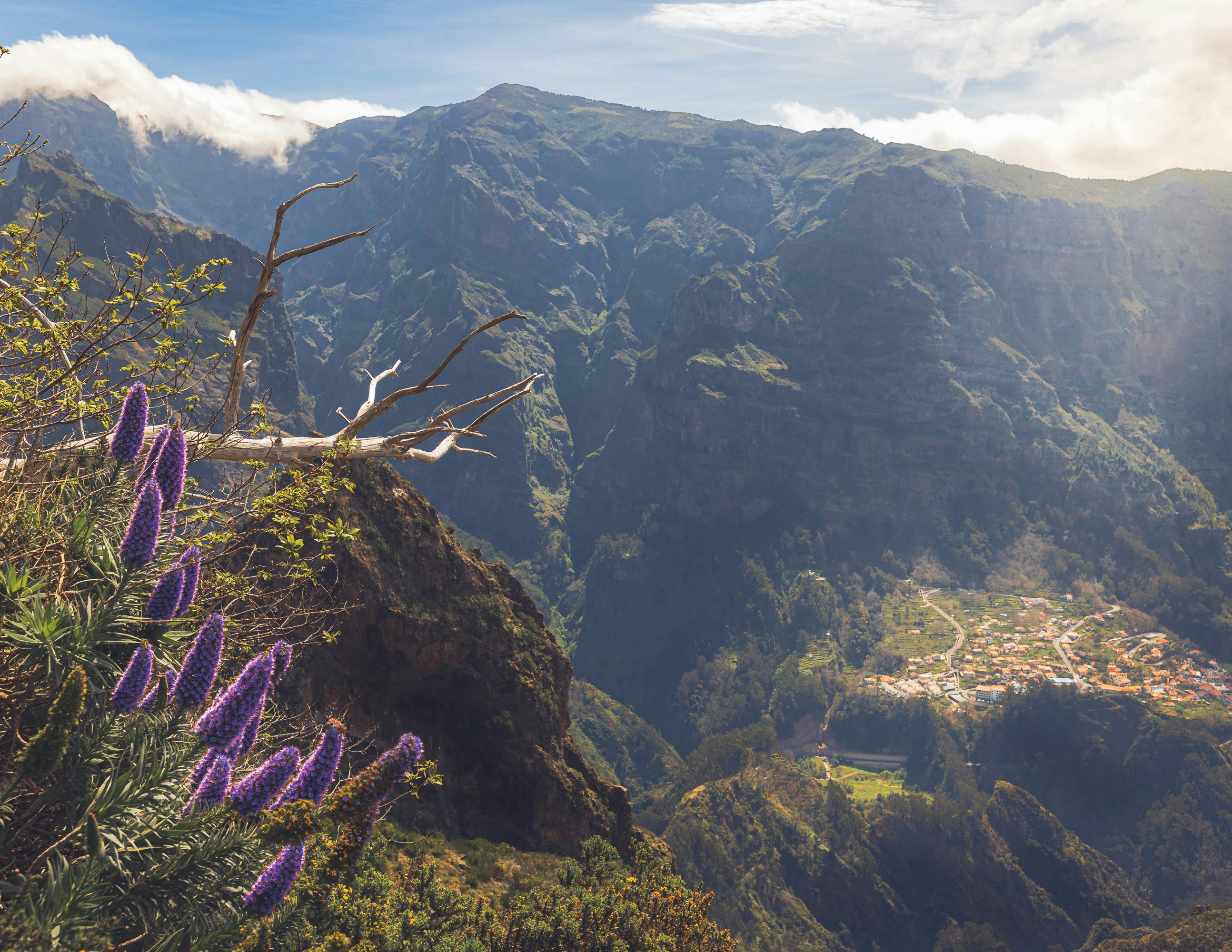 a view of a valley with mountains in the background, A beautiful hike to the Madeiras one and only Pico Grande granted us breathtaking views on the surrounding peaks and village in the valleys all nicely framed with ubiquitous flowers and interesting burned trees!