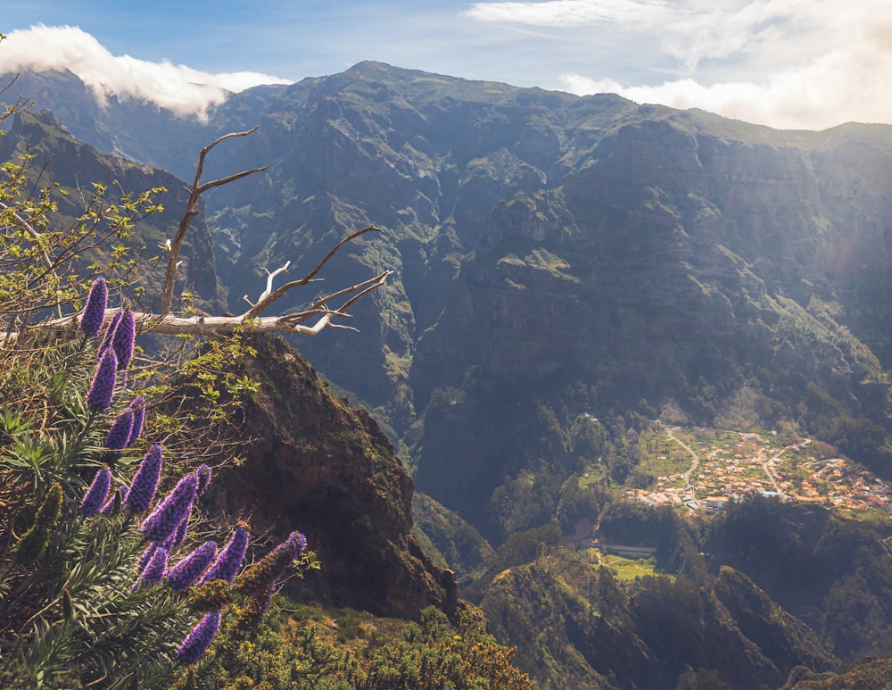 a view of a valley with mountains in the background