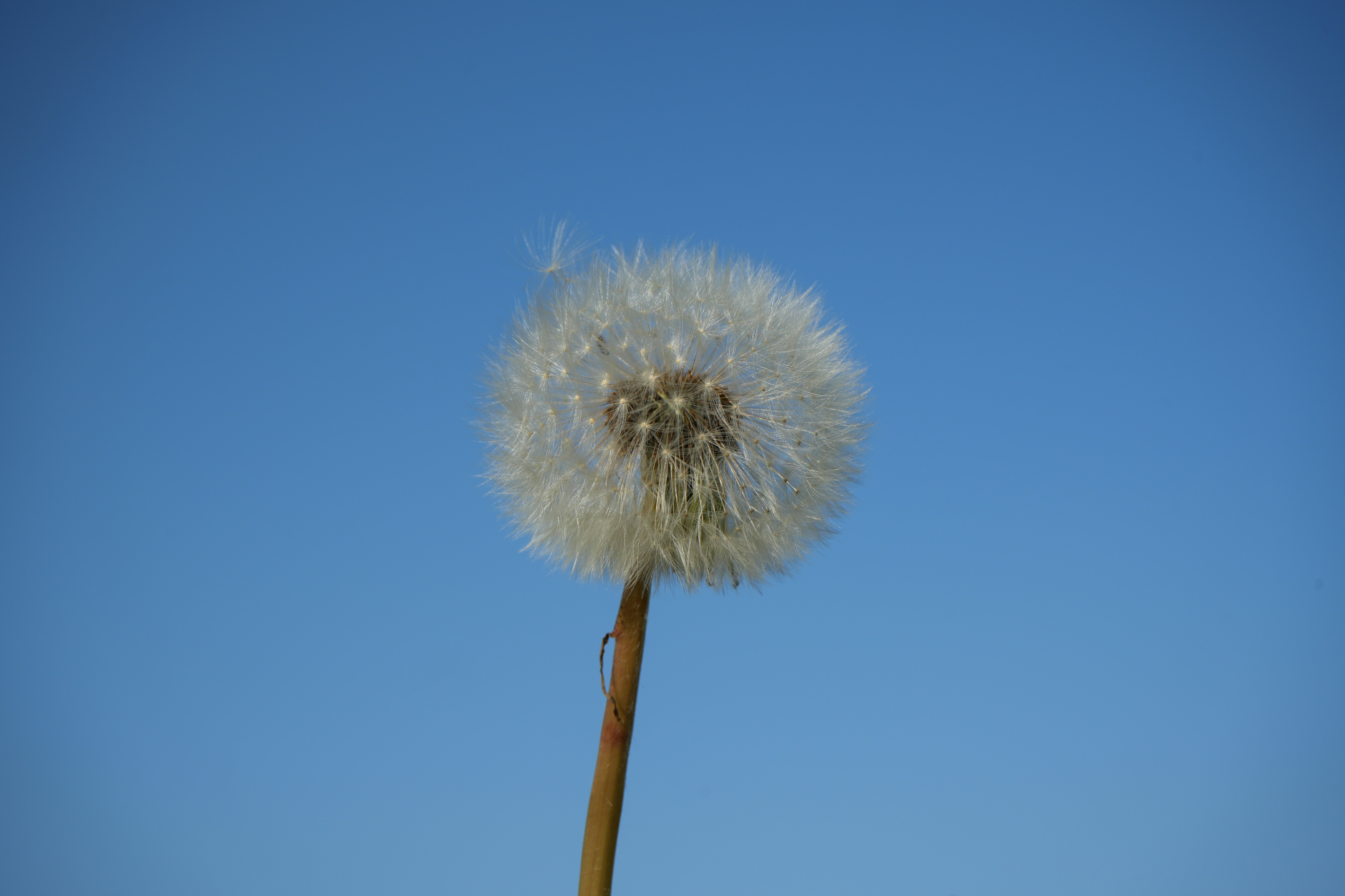 Heartfelt Gone with the Wind Farewell Wishes & Quotes