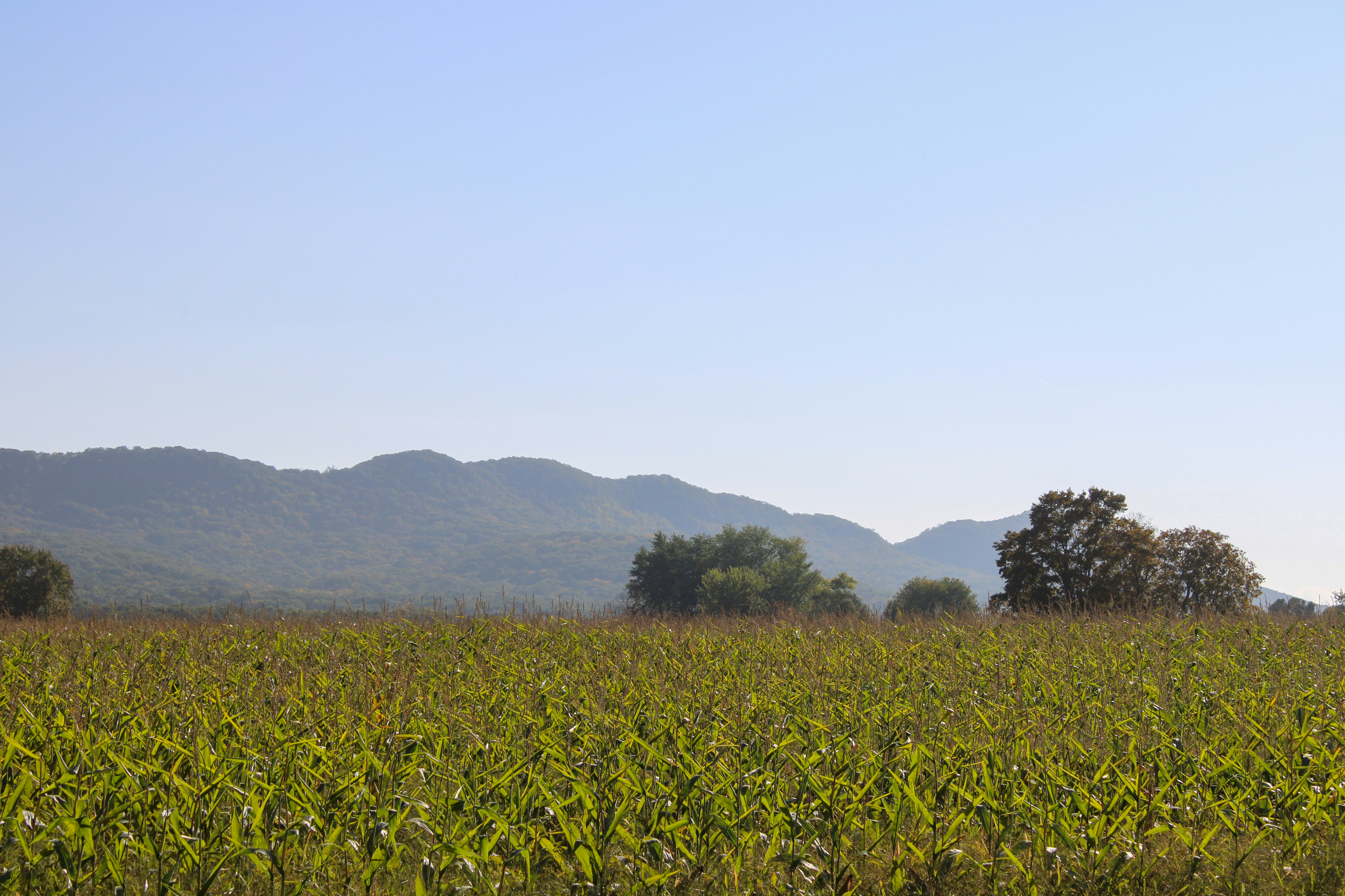 Photo by mikaelabowler