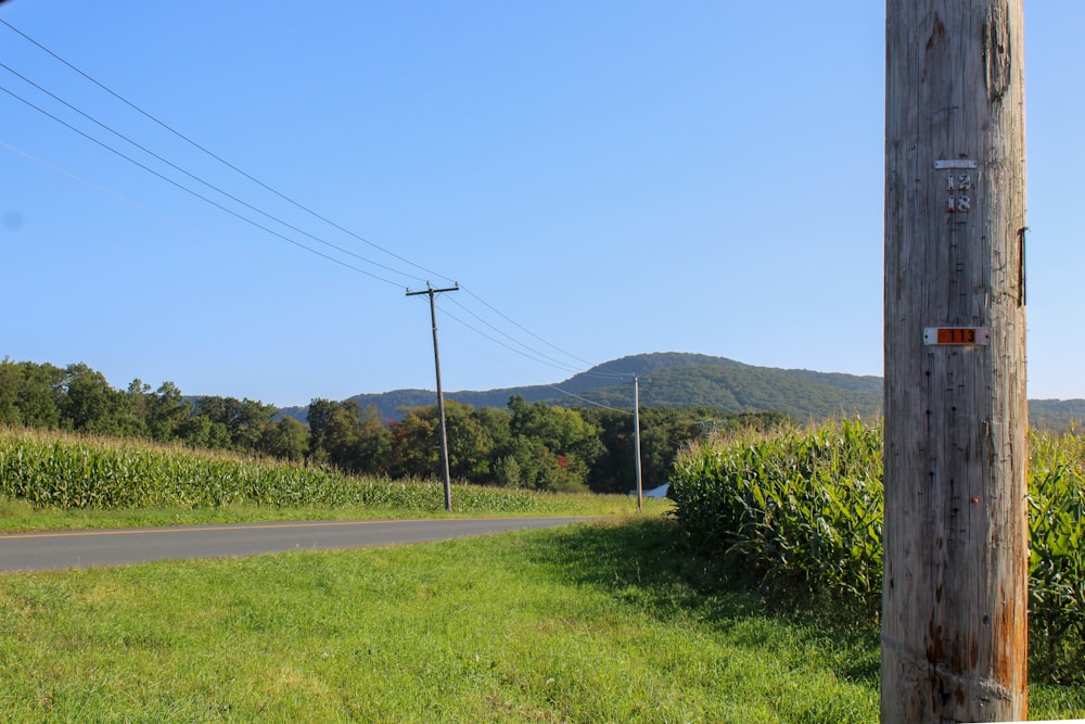 a telephone pole on the side of a road