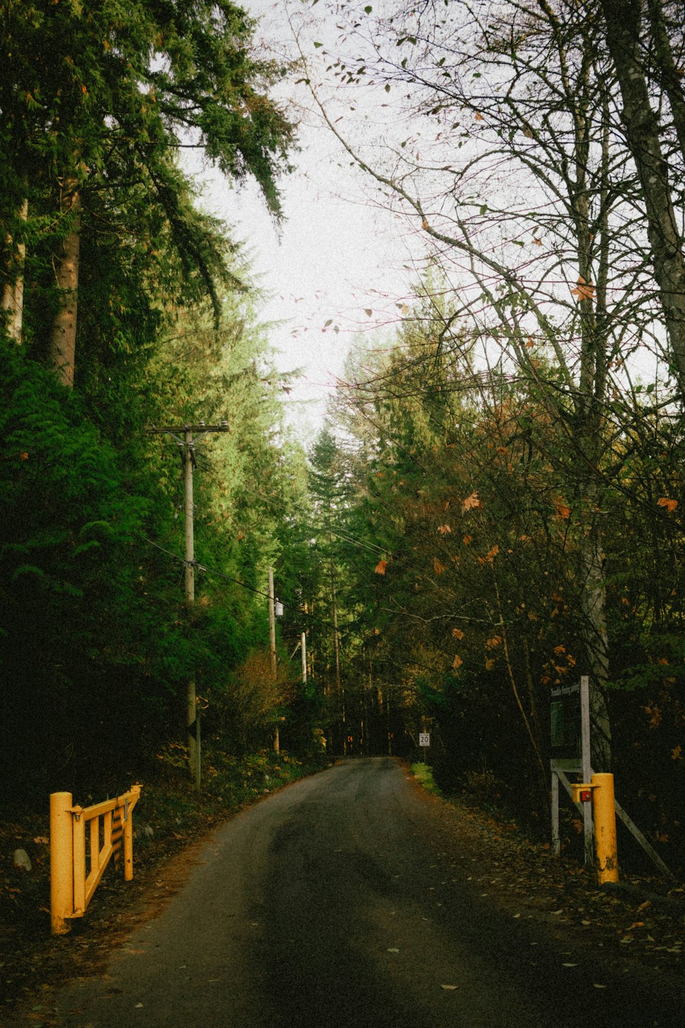 a road surrounded by trees and a yellow gate