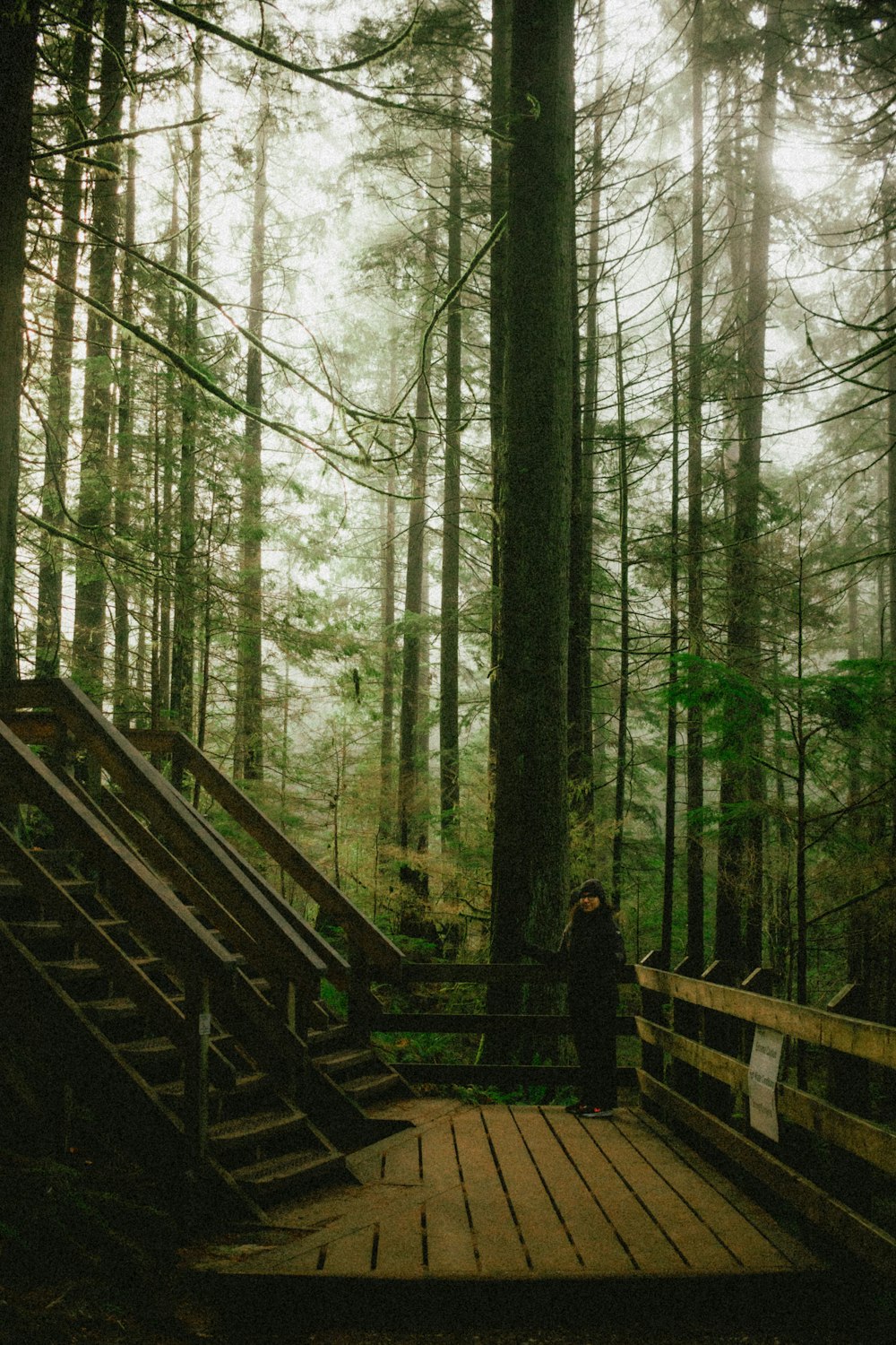 a person standing on a wooden bridge in the woods