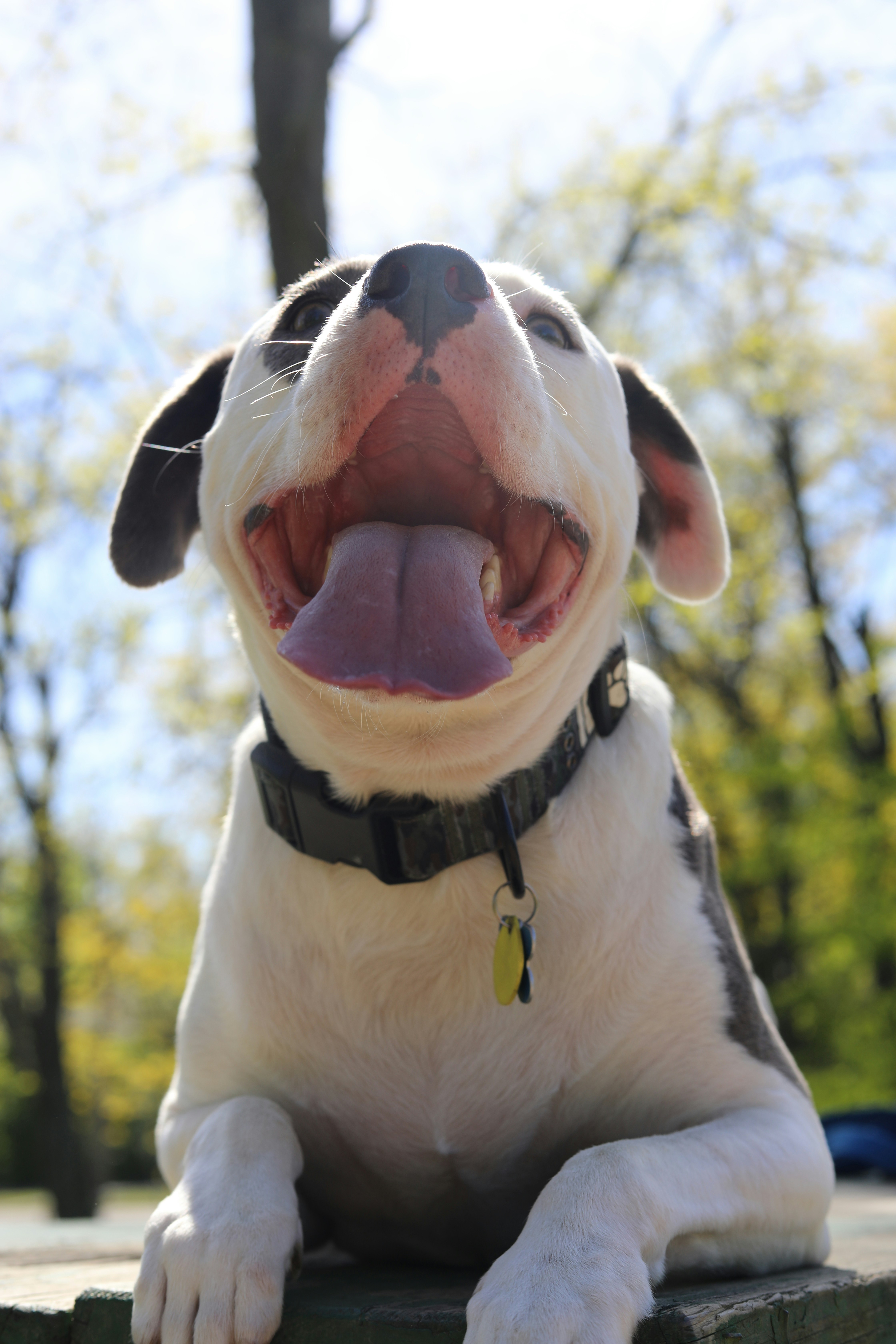 Photo by sarahscraftography