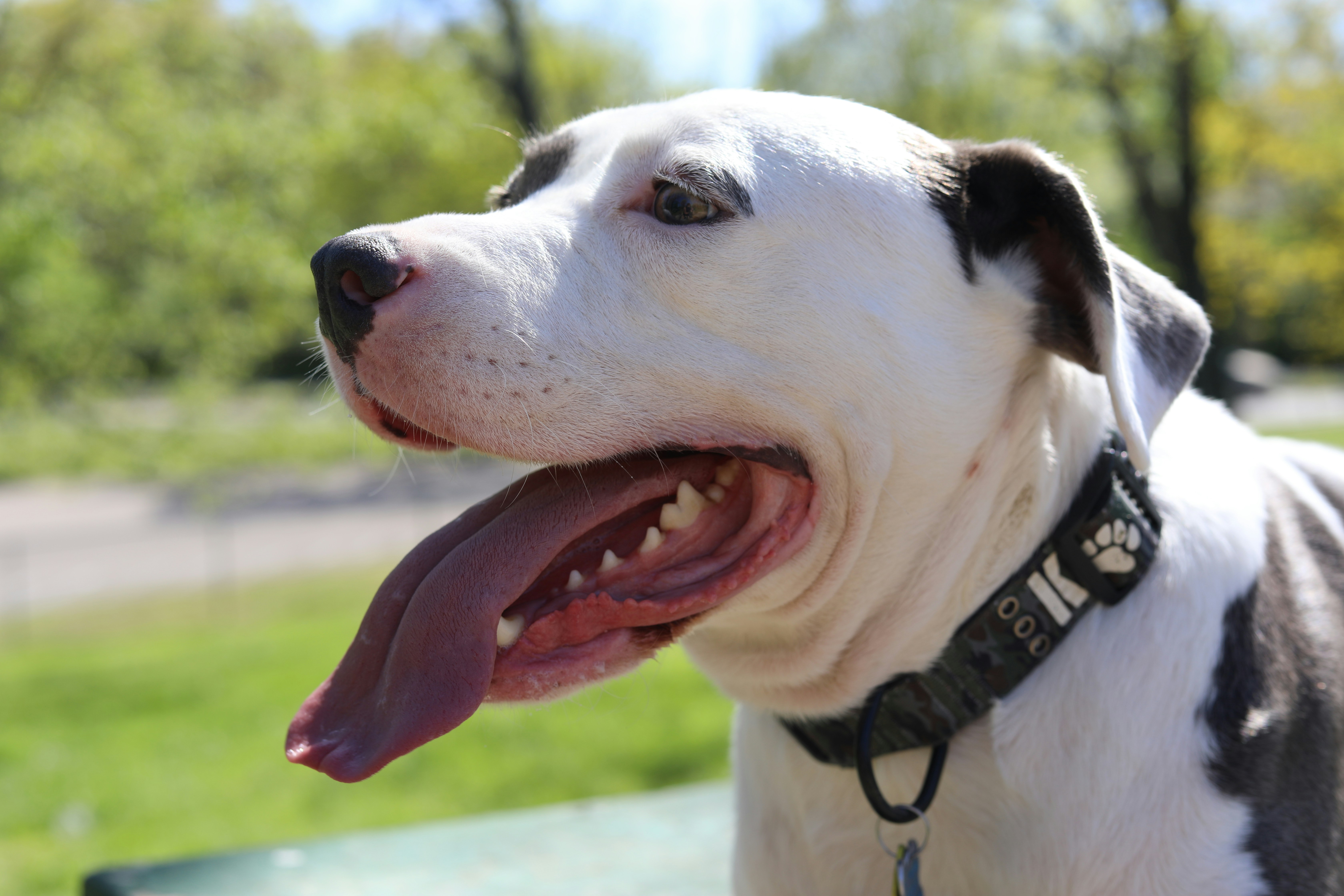 Photo by sarahscraftography