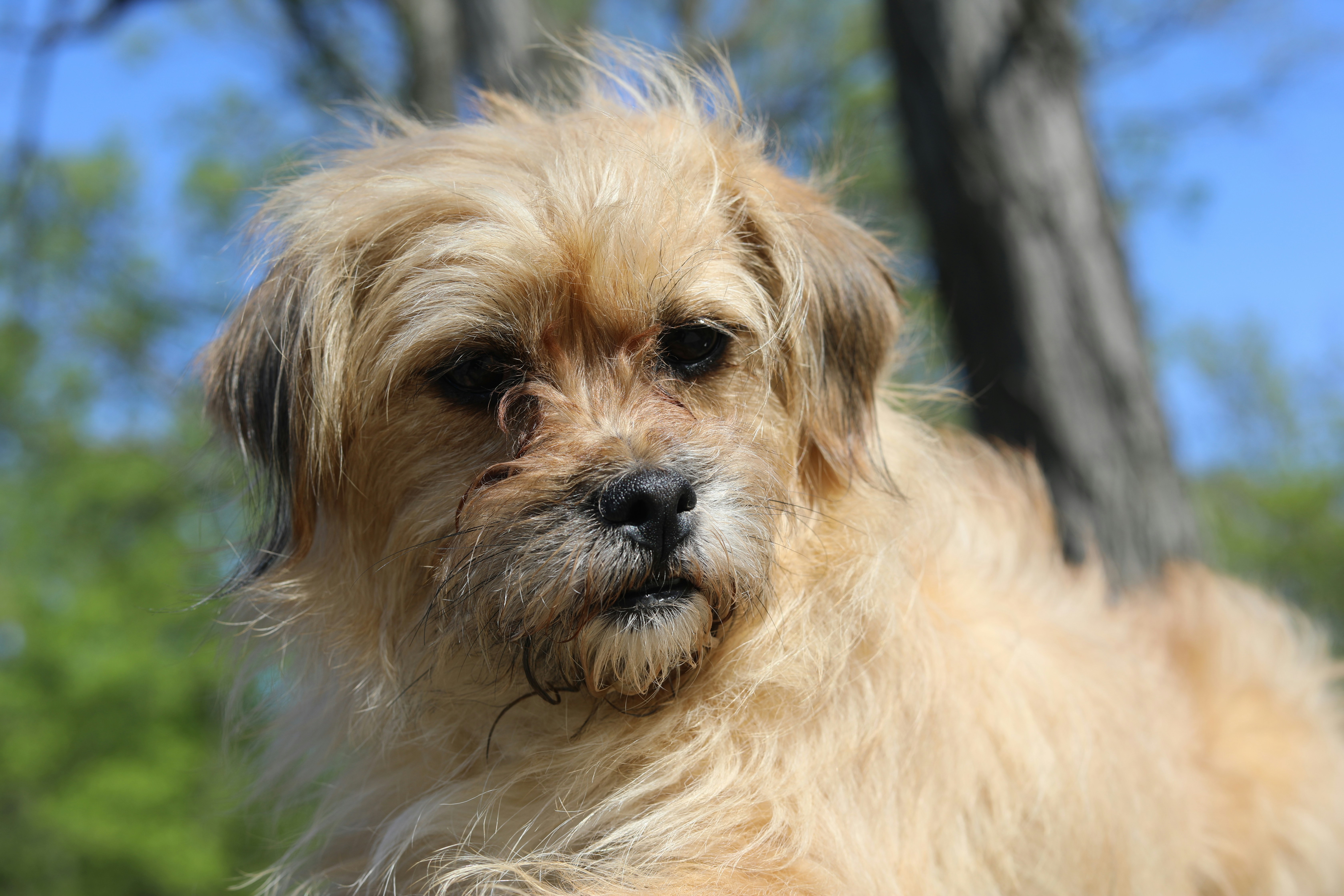 Photo by sarahscraftography