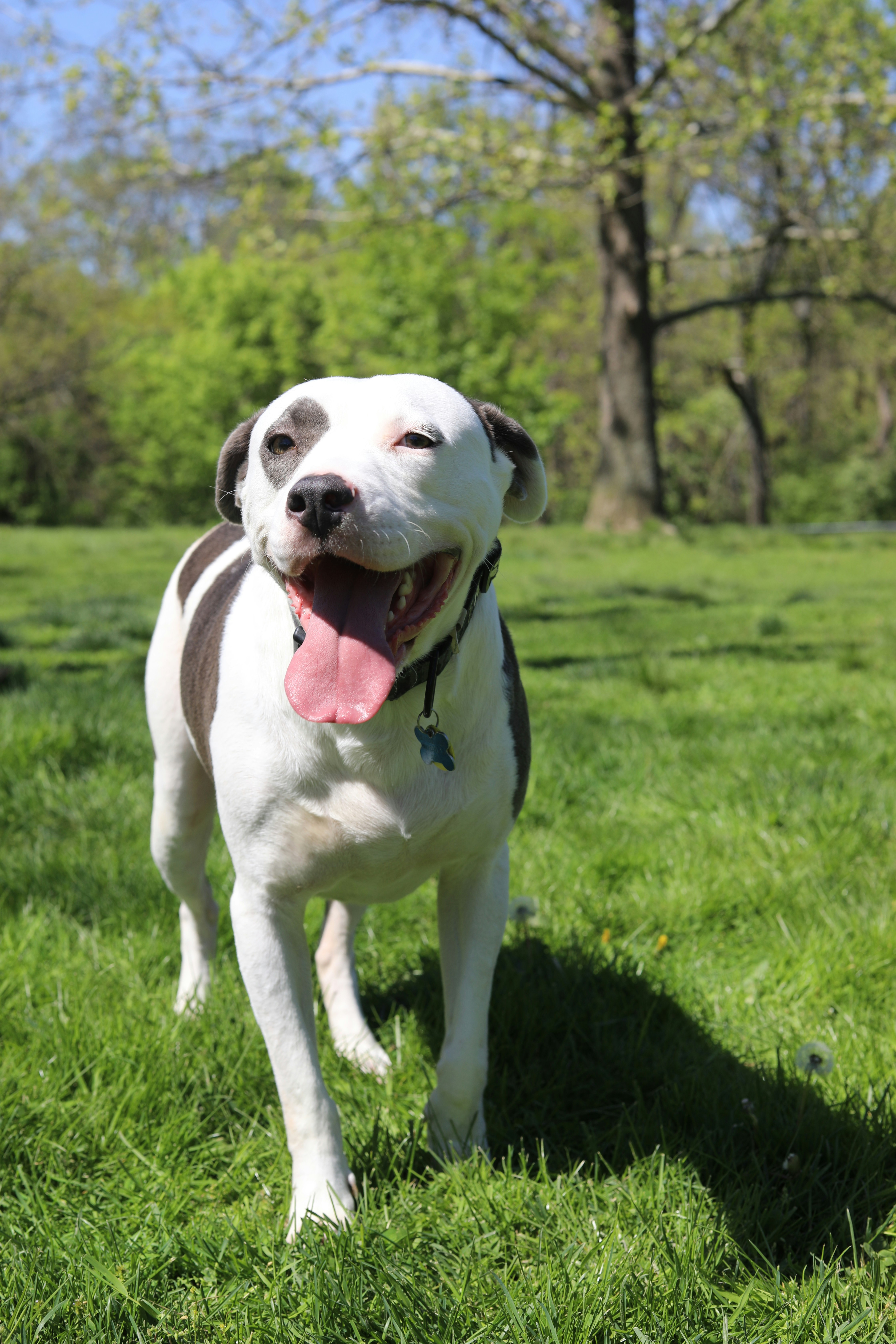 Photo by sarahscraftography