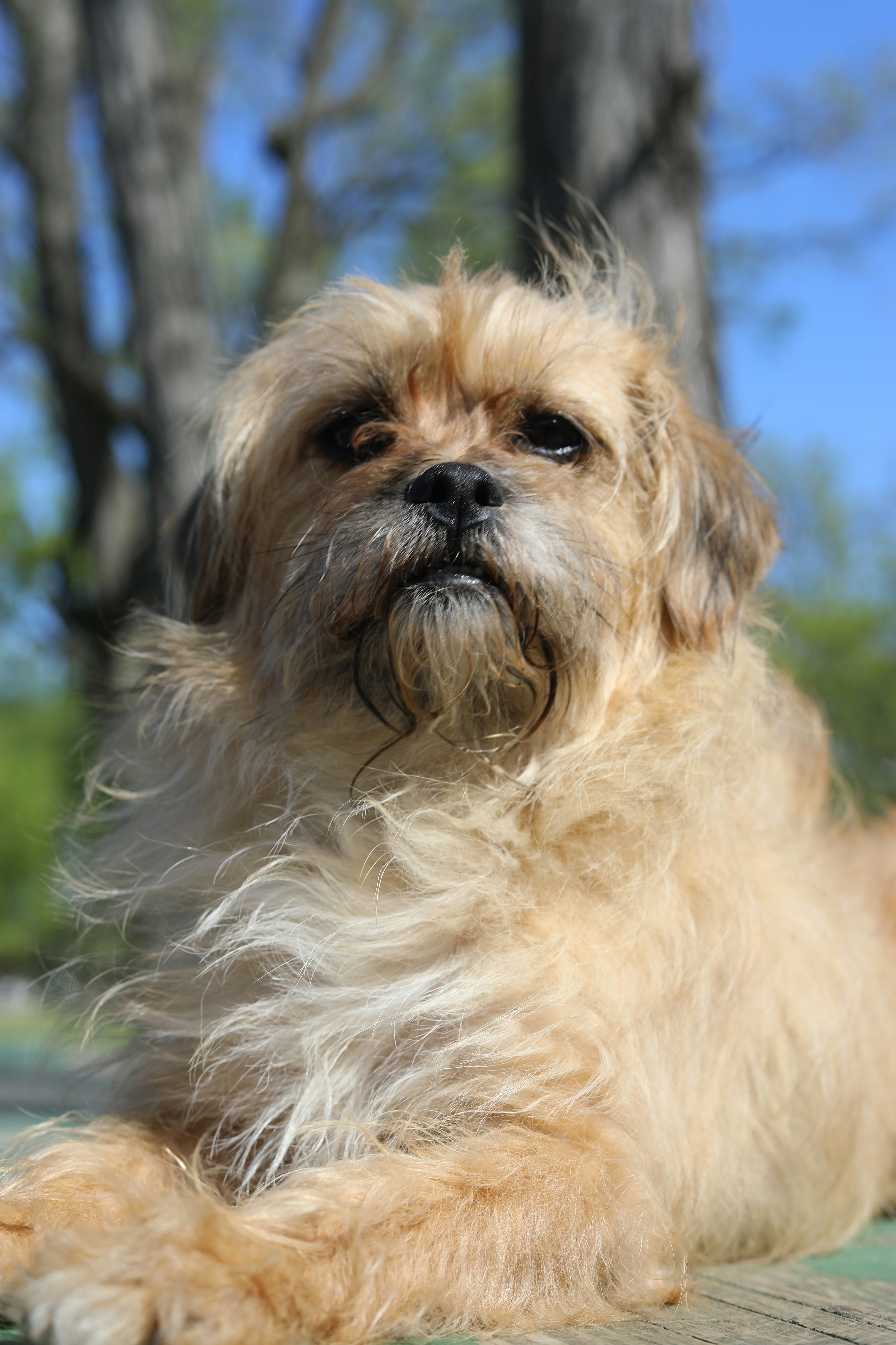 Photo by sarahscraftography