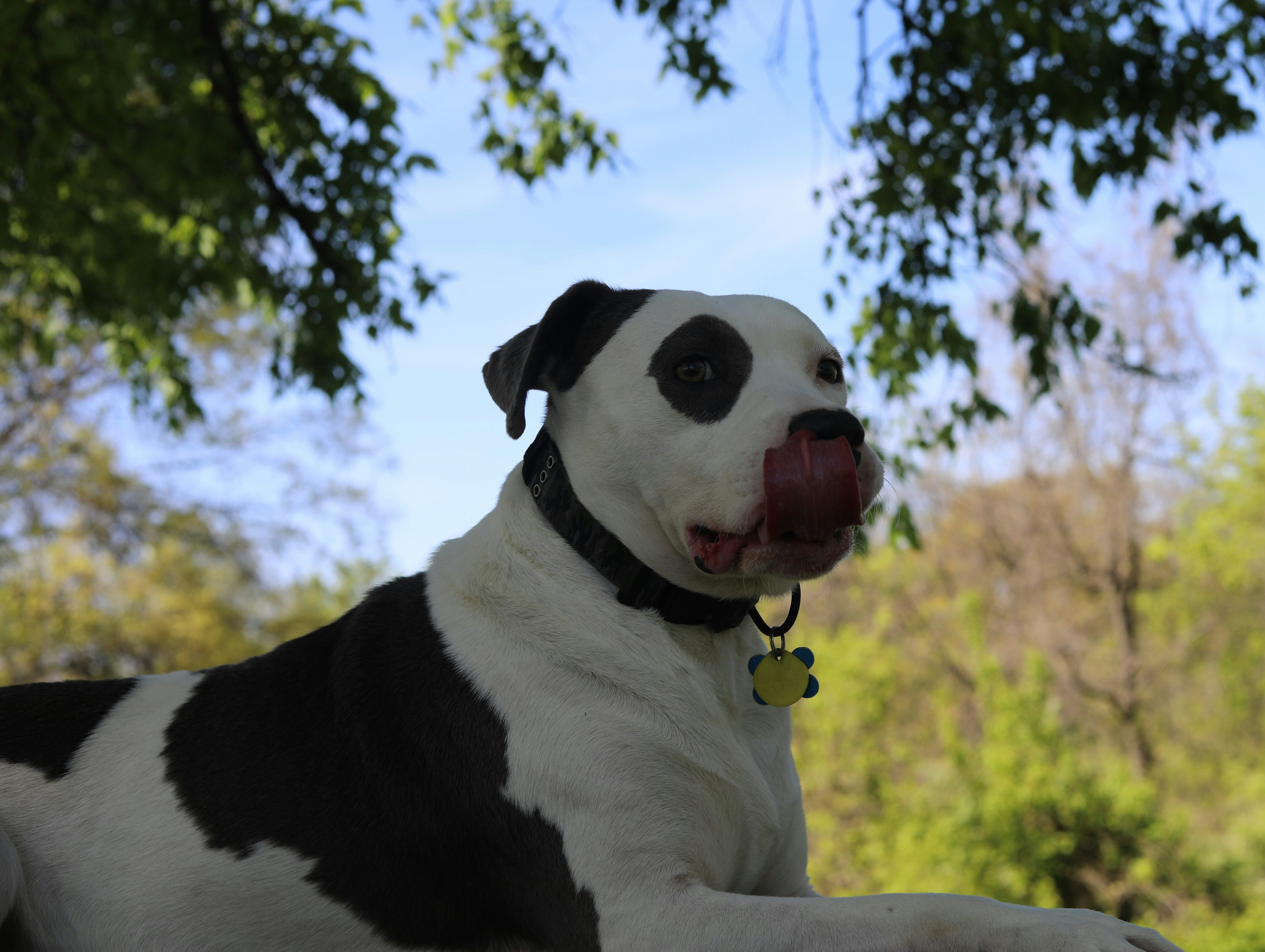 Photo by sarahscraftography