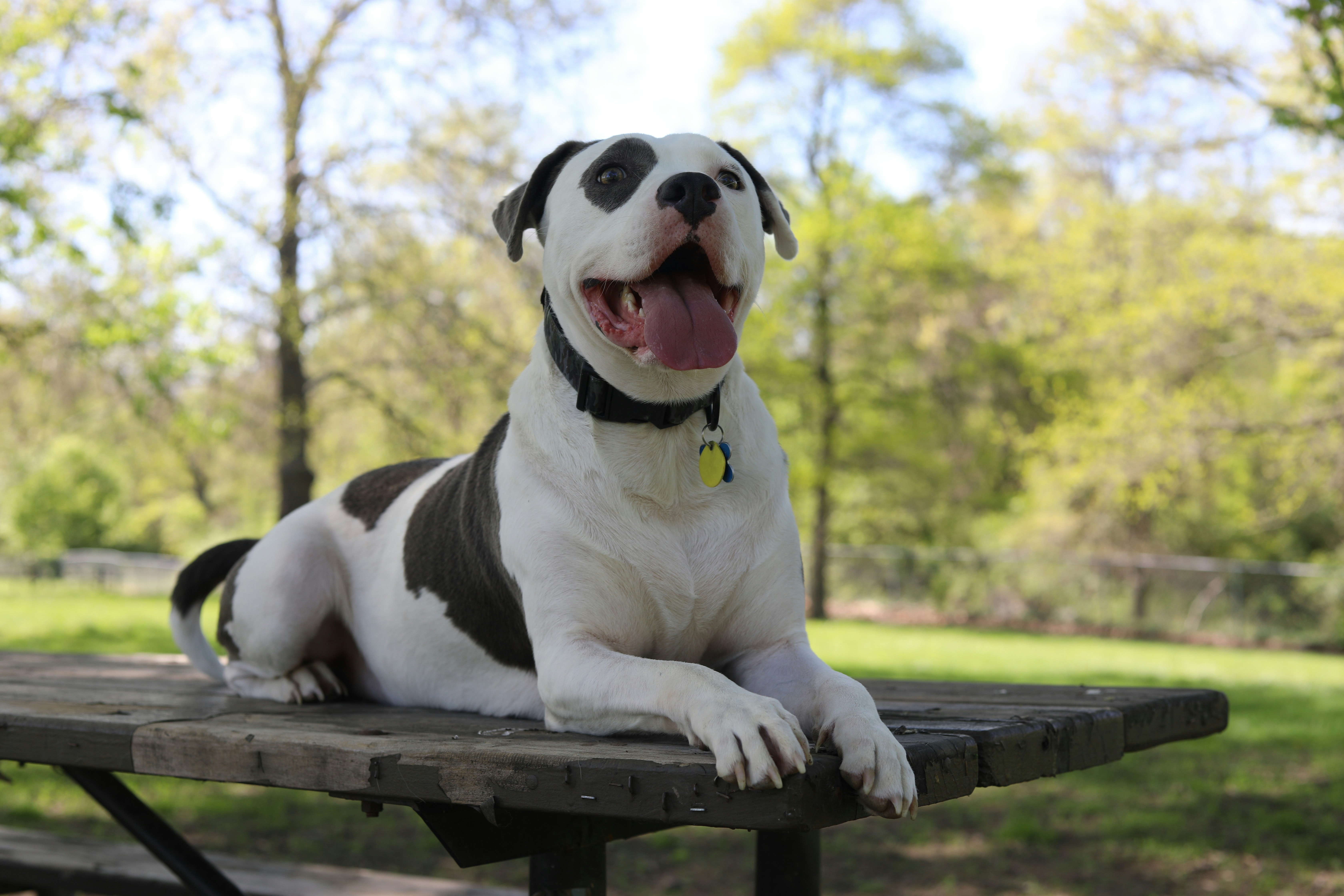 Photo by sarahscraftography