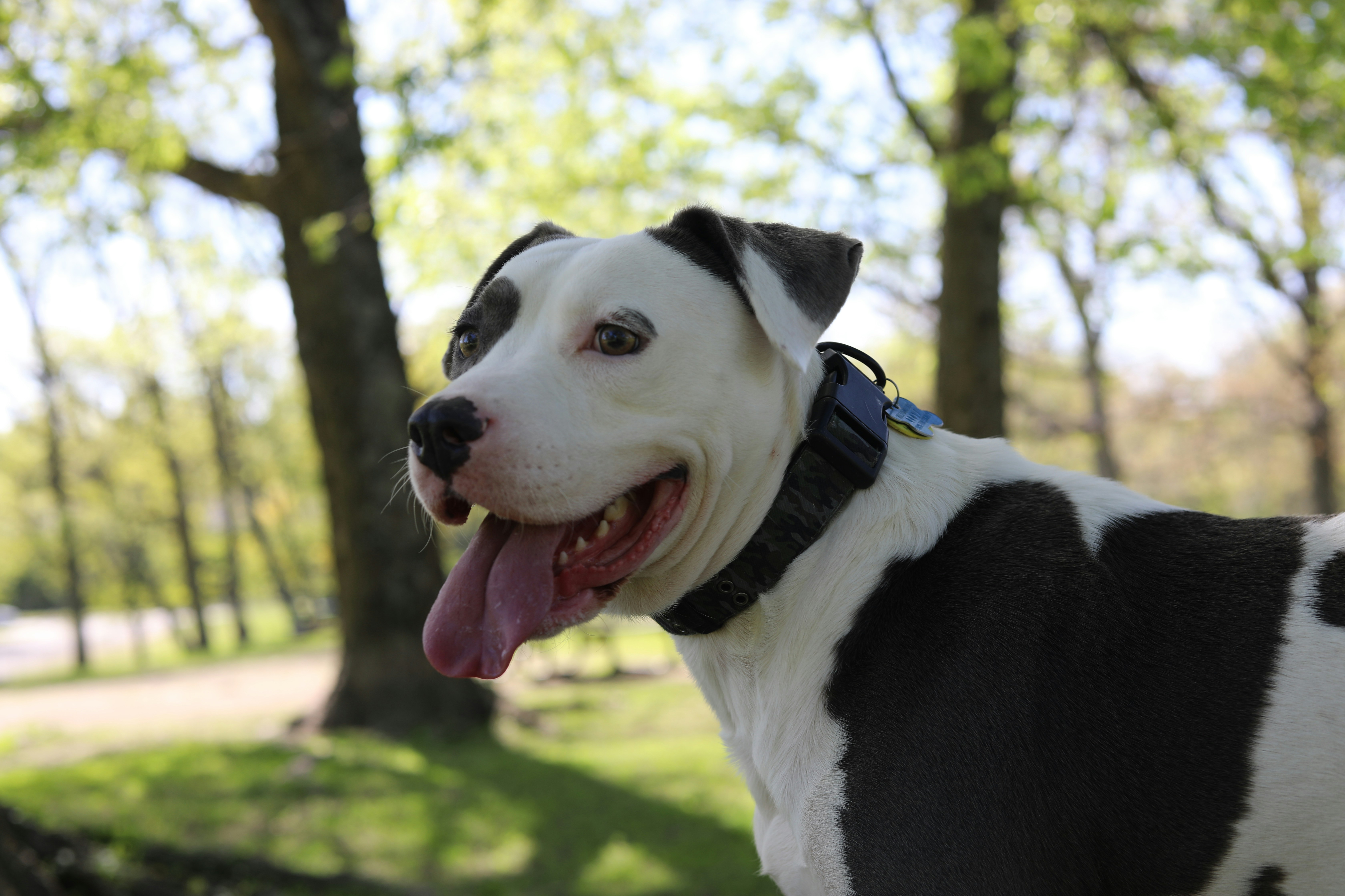 Photo by sarahscraftography