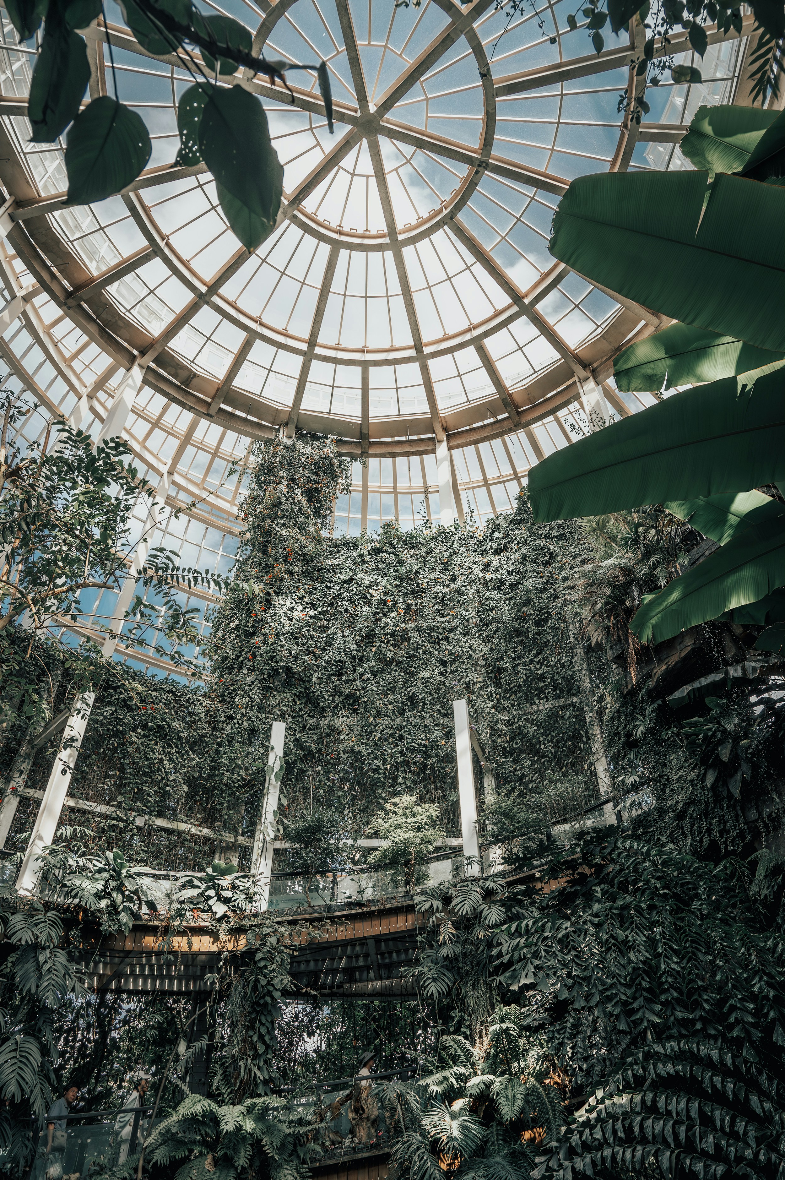 Photo by vincent_tint