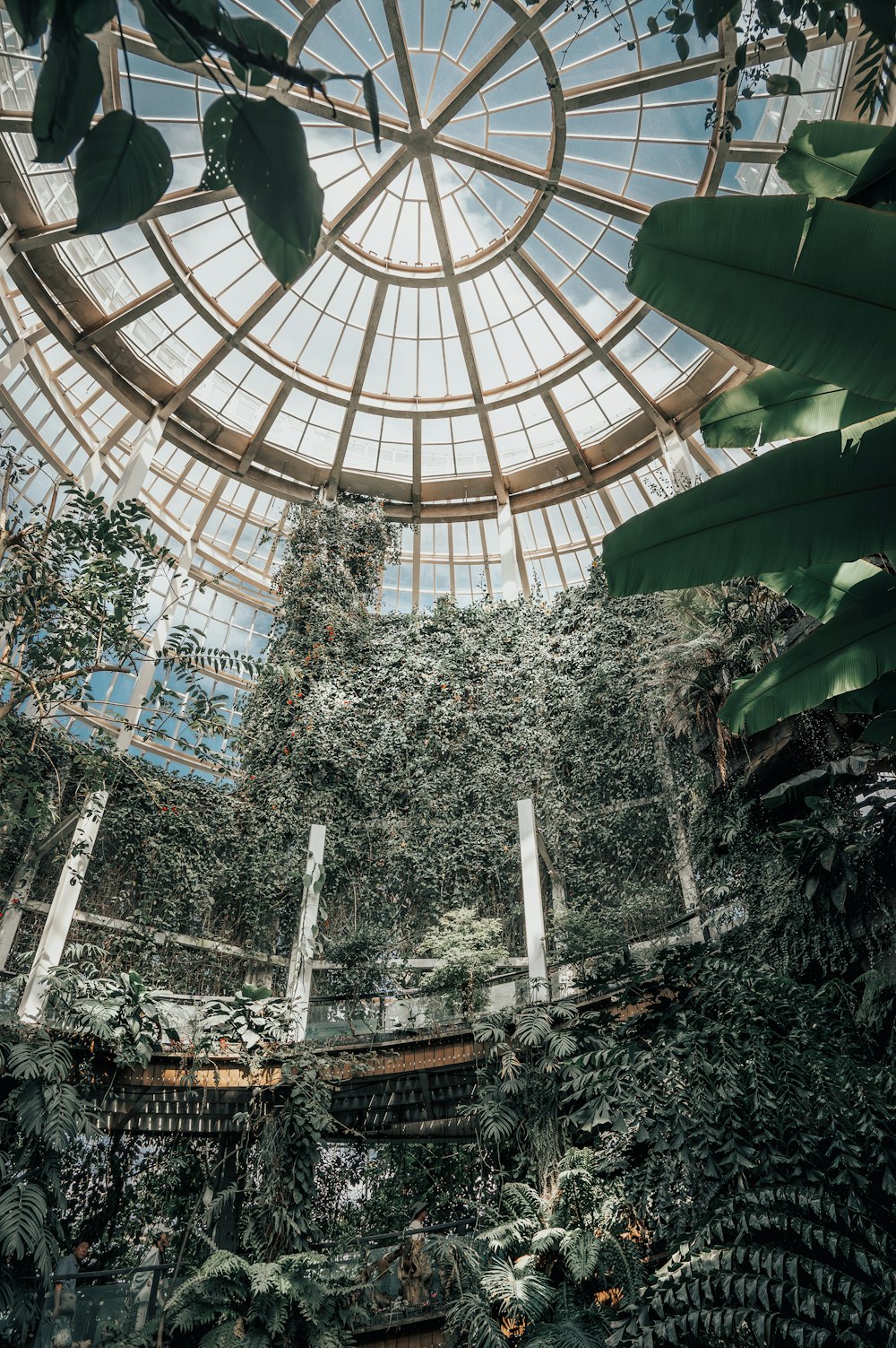 the inside of a building with a glass ceiling