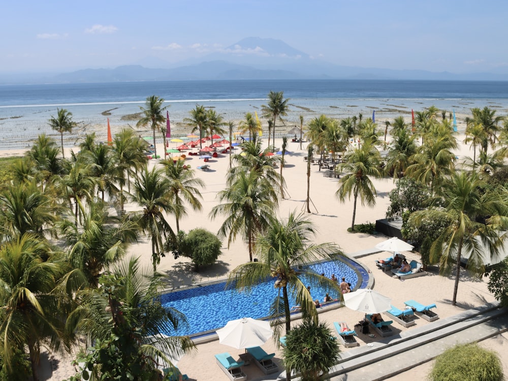 an aerial view of a beach with a pool and palm trees