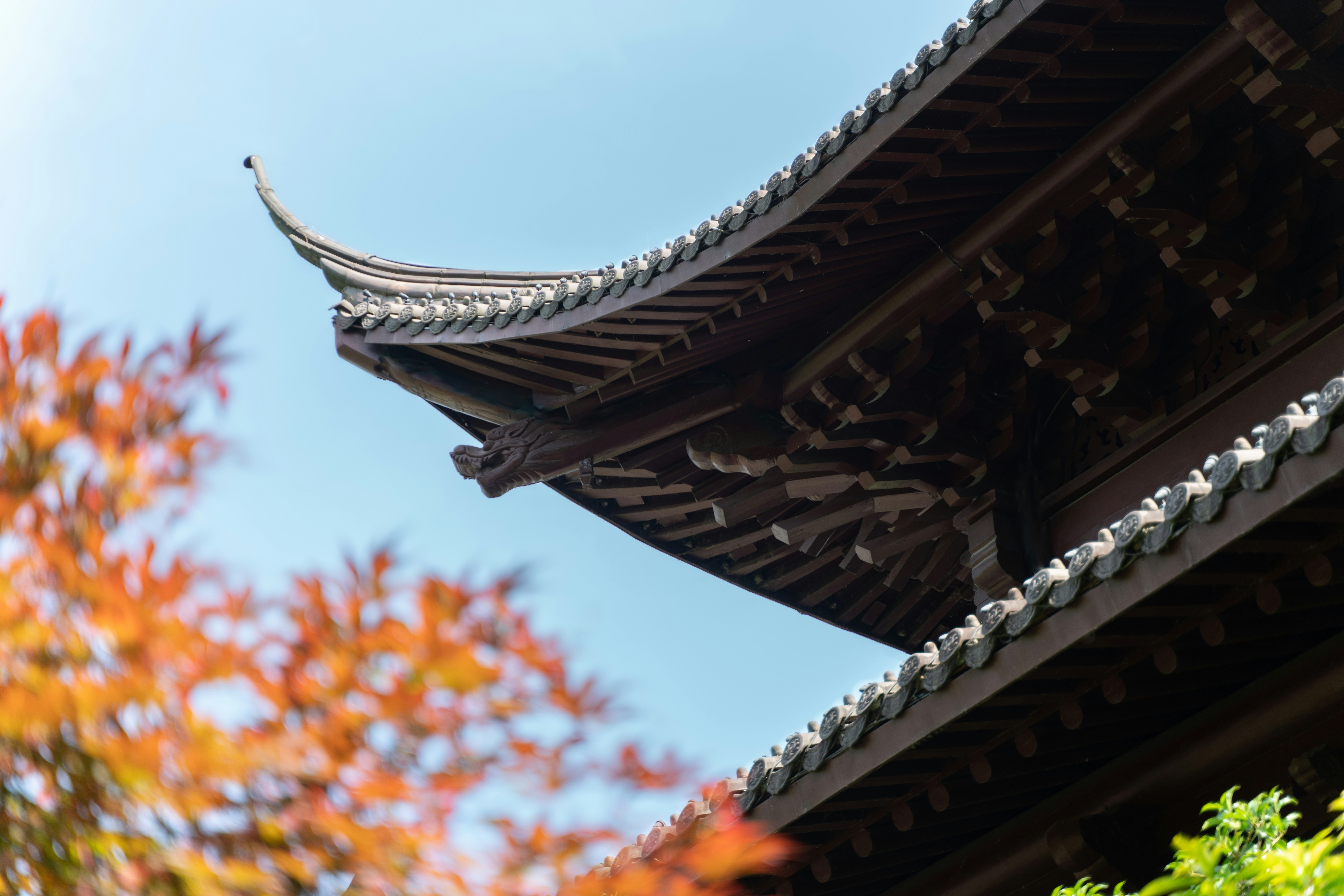 Photo by austin_7792