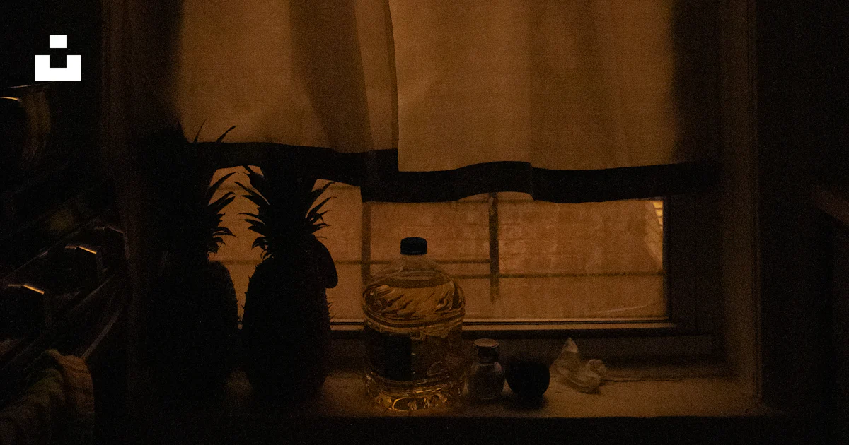 Light Polution Room Window A window with a curtain and a potted plant in front of it photo – Free ...