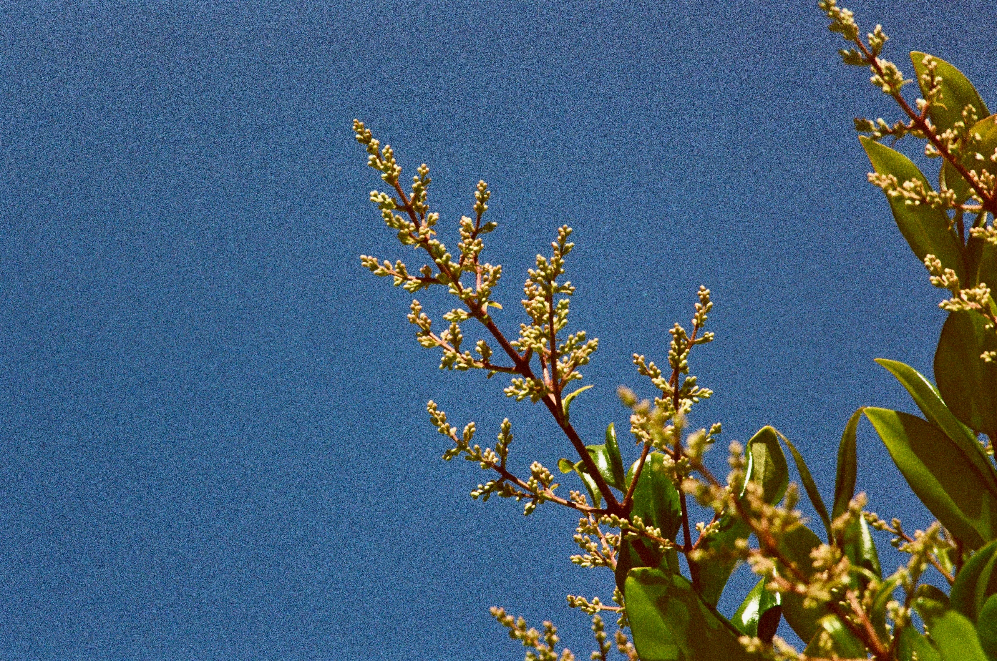 Photo by _nickwright_