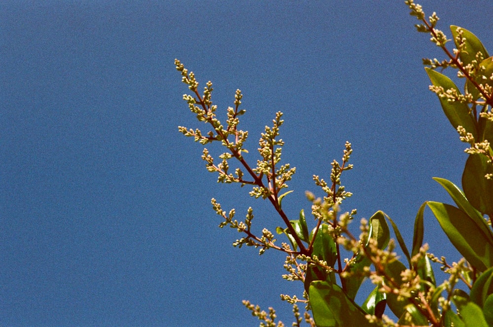 a bird is sitting on a tree branch