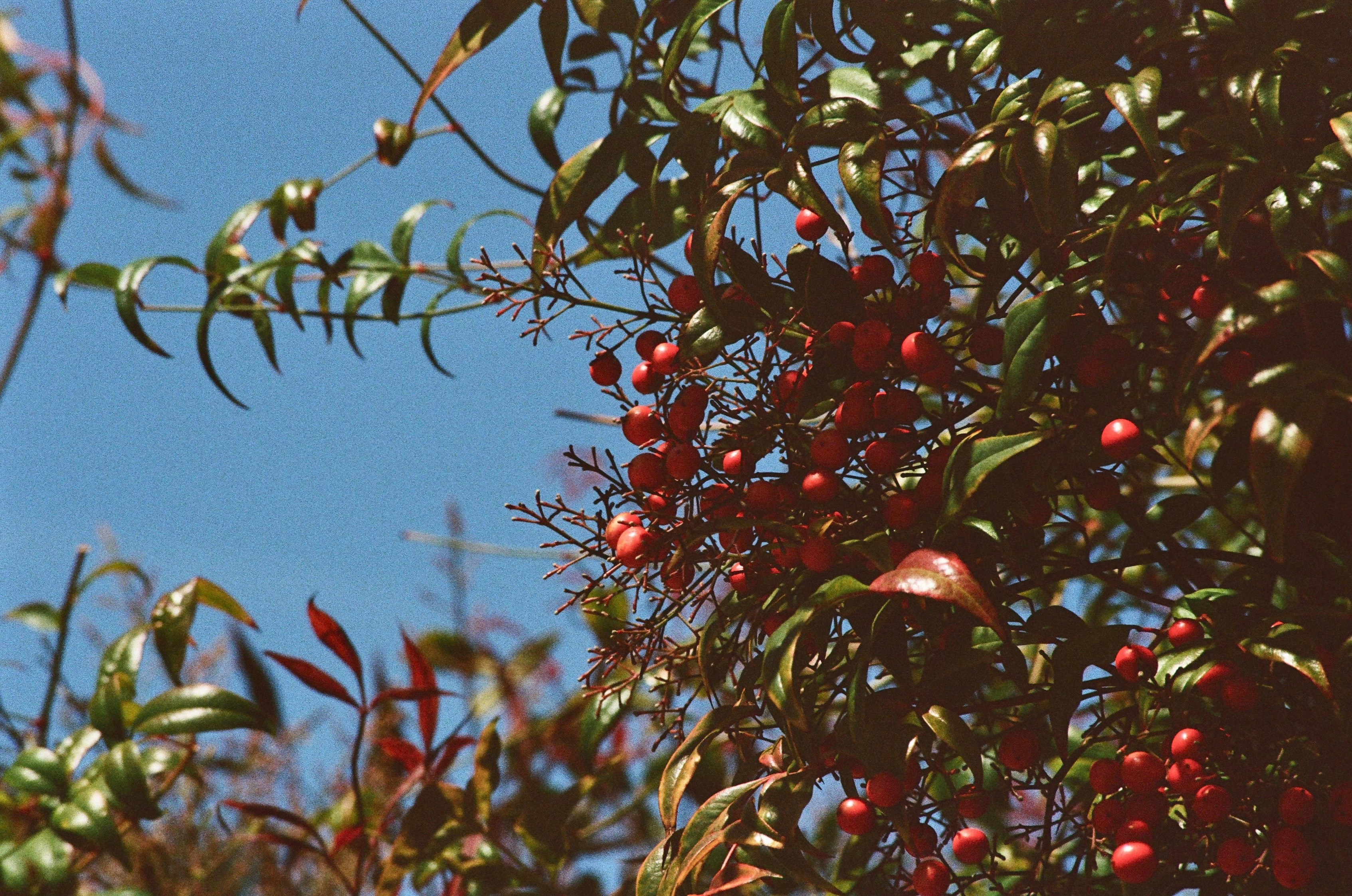 Photo by _nickwright_