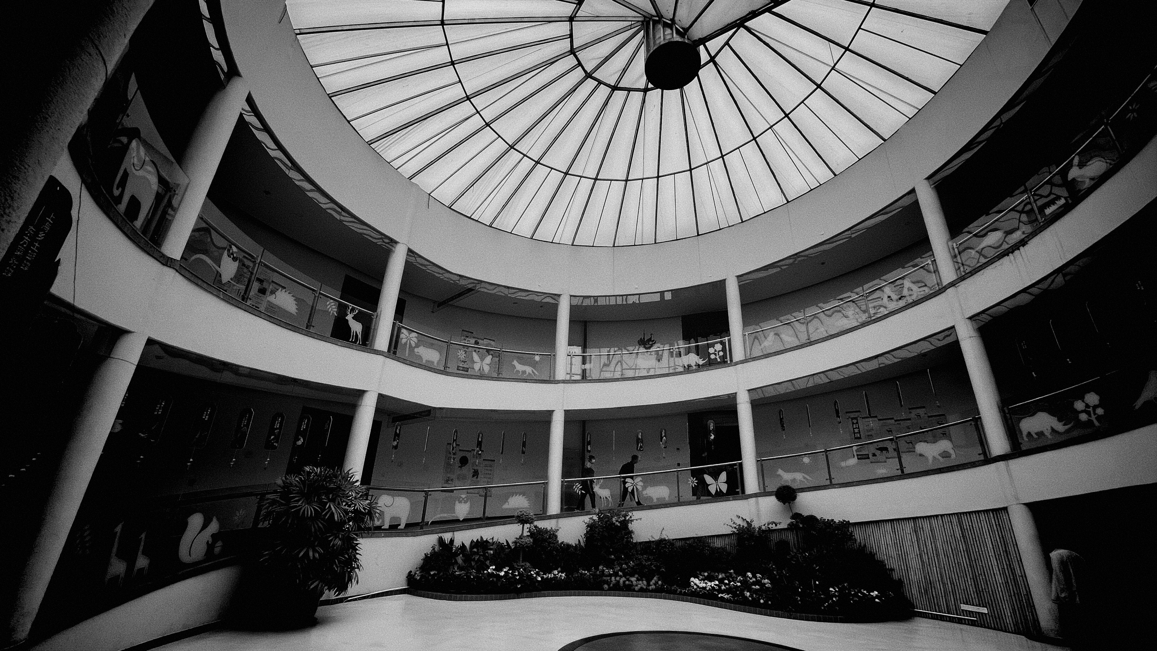 Photo by geraltyichen