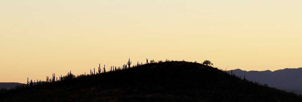 a bird flying over a hill with mountains in the background