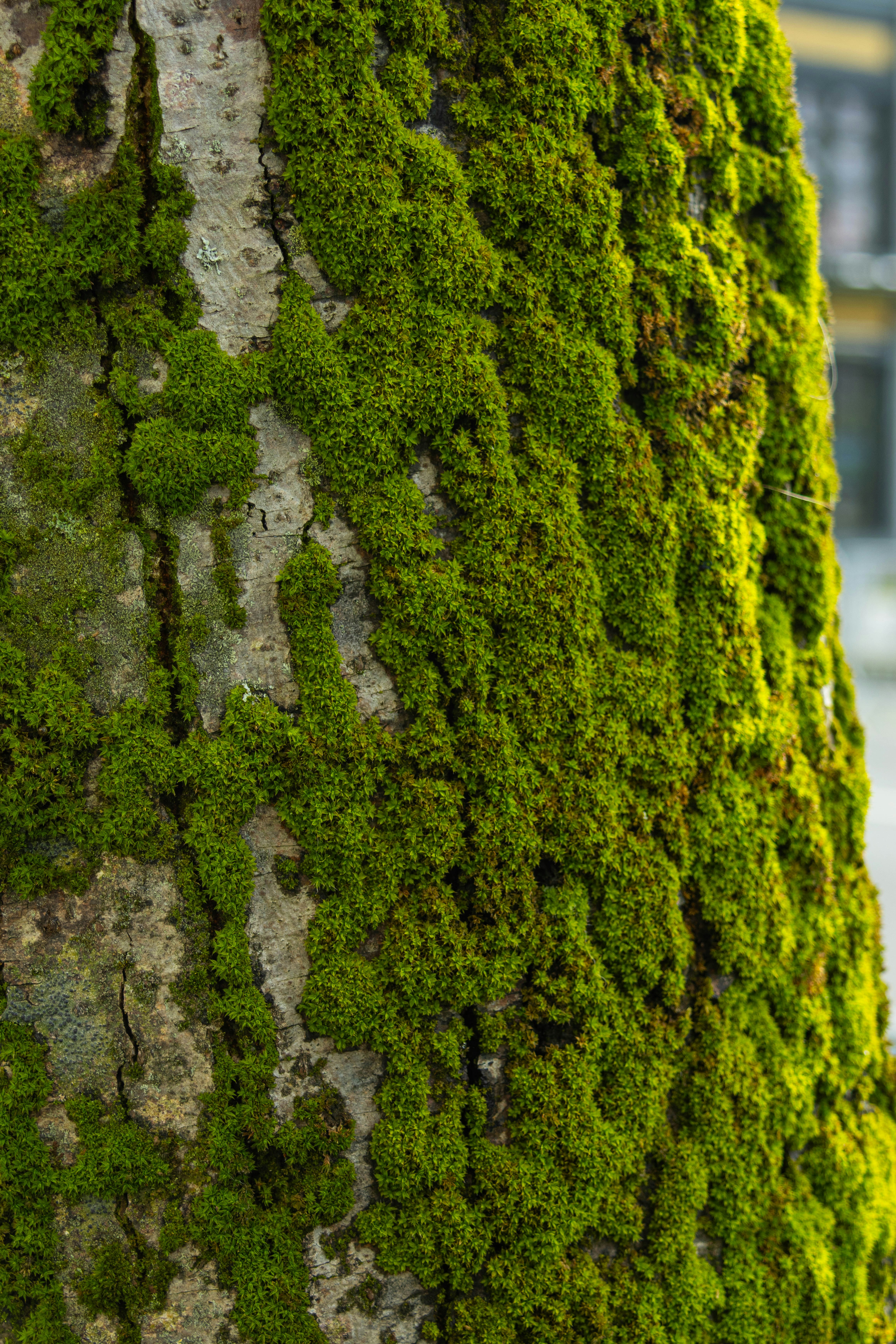 Photo by sailing_snails