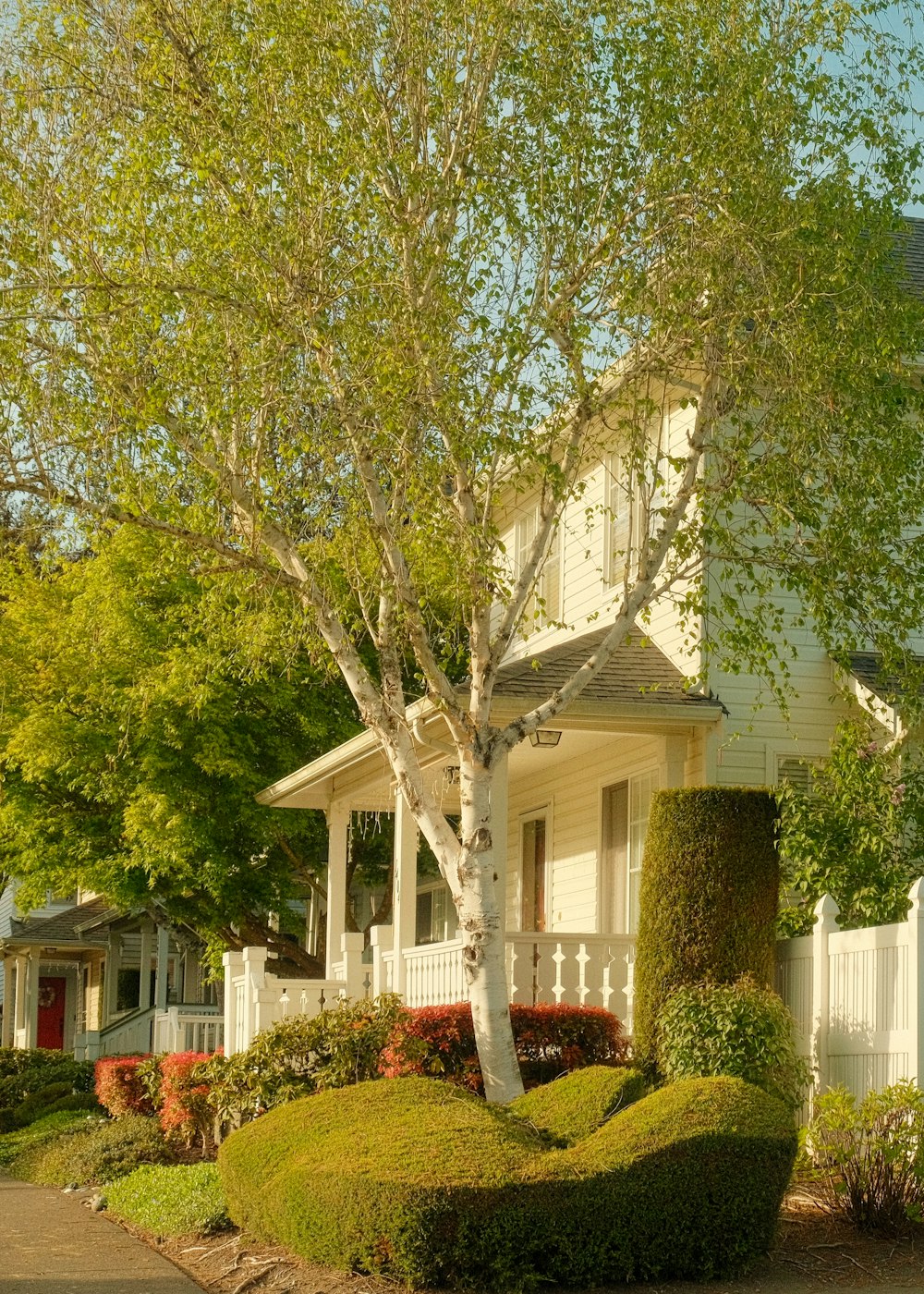 a white house with a tree in front of it