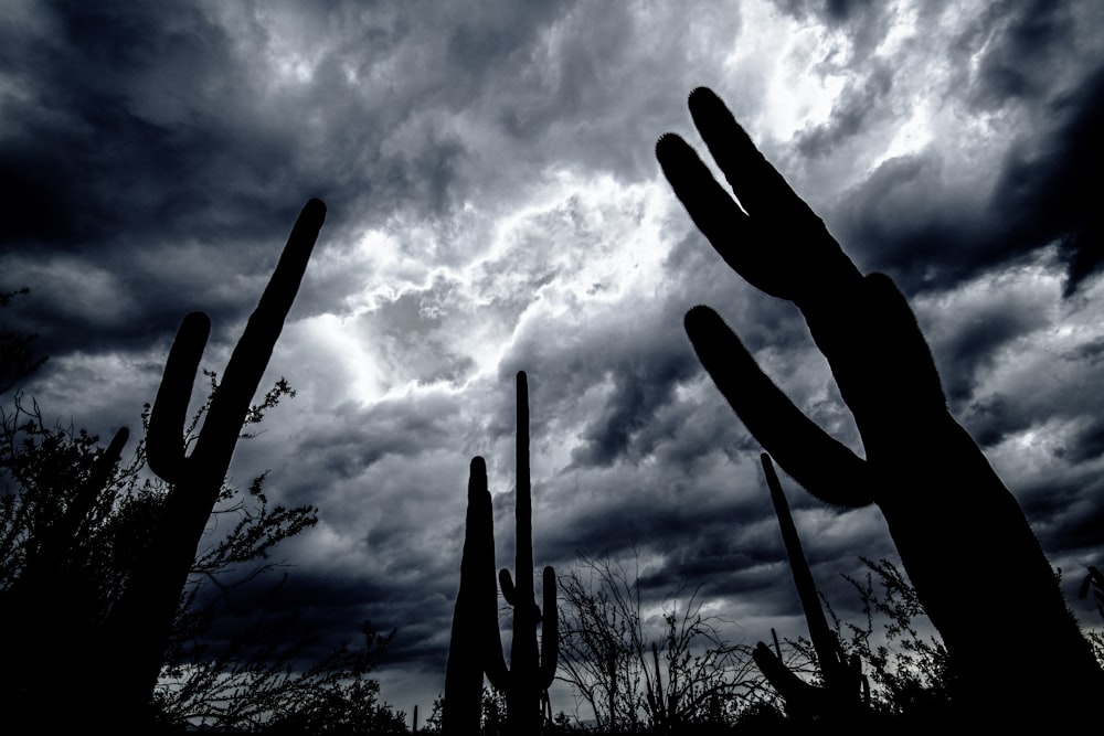 a black and white photo of a cloudy sky