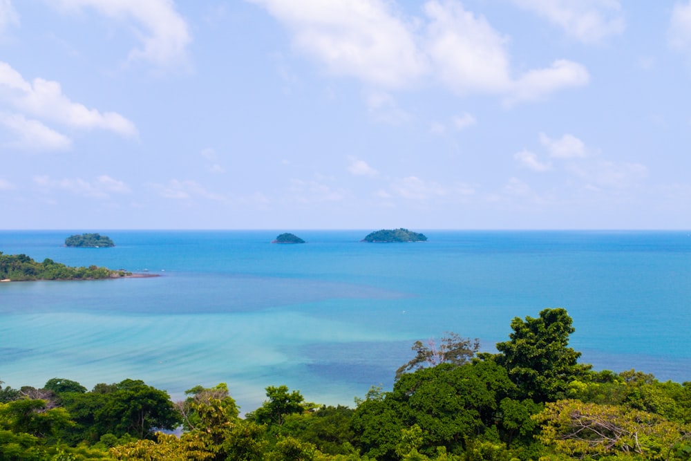 a view of the ocean from the top of a hill