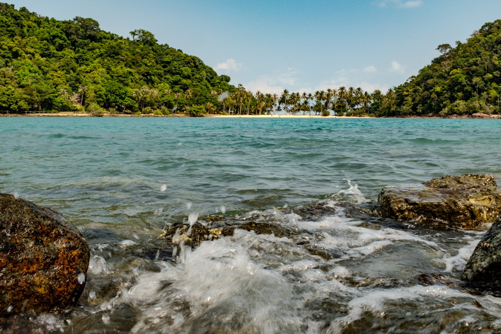 a body of water surrounded by trees and rocks