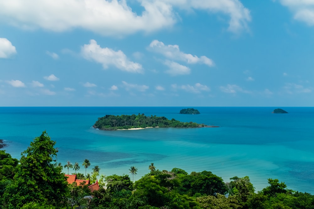 an island in the middle of the ocean surrounded by trees