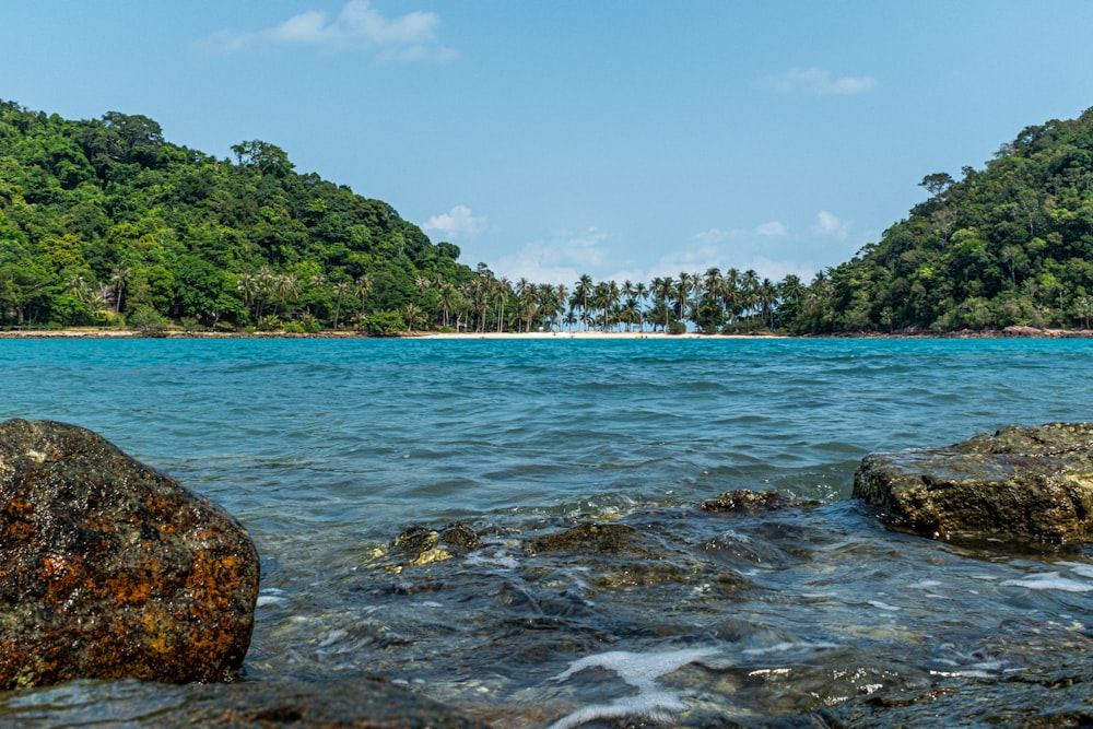 a body of water surrounded by trees and rocks