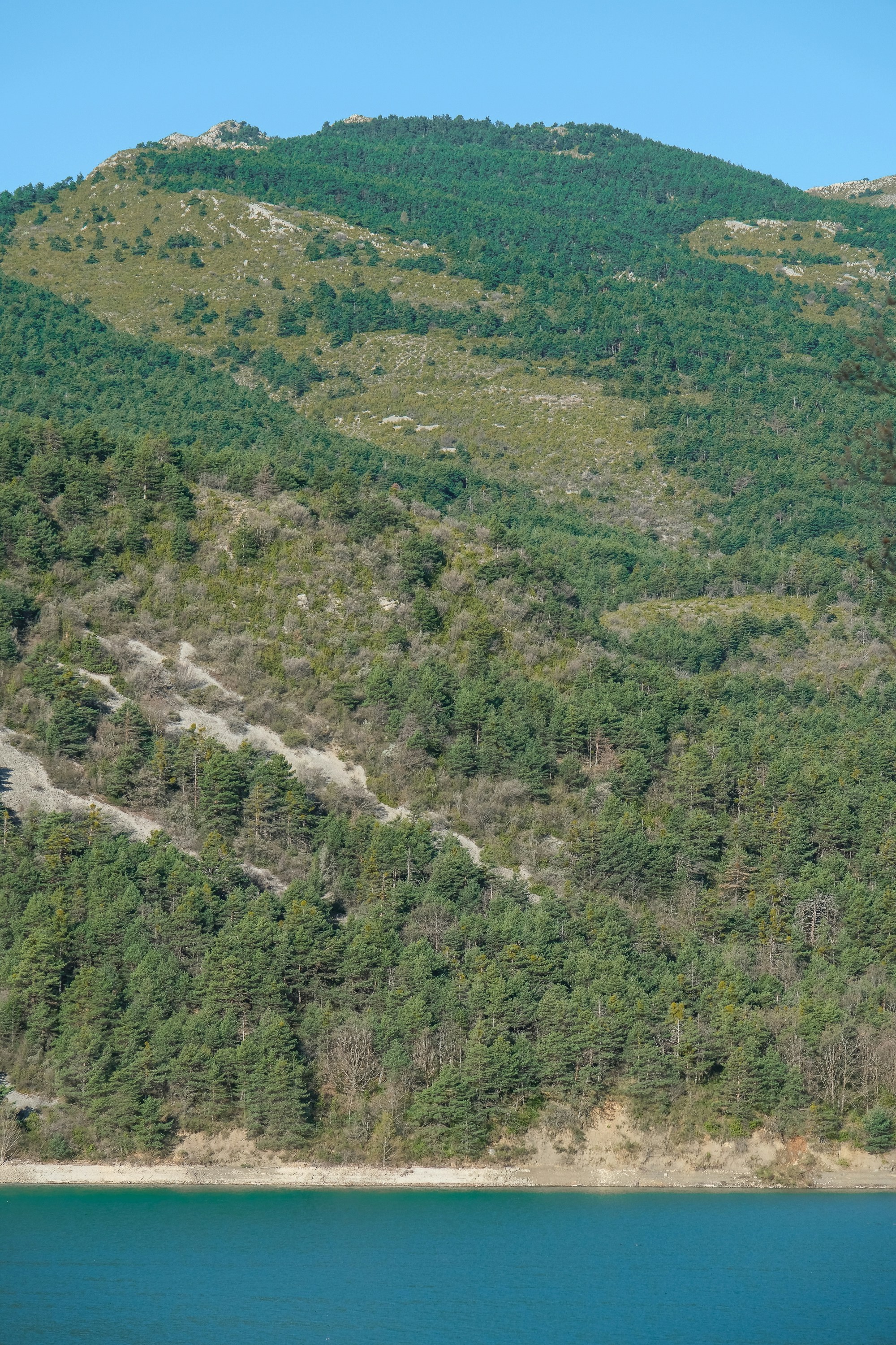 Photo by cestmoisheedy