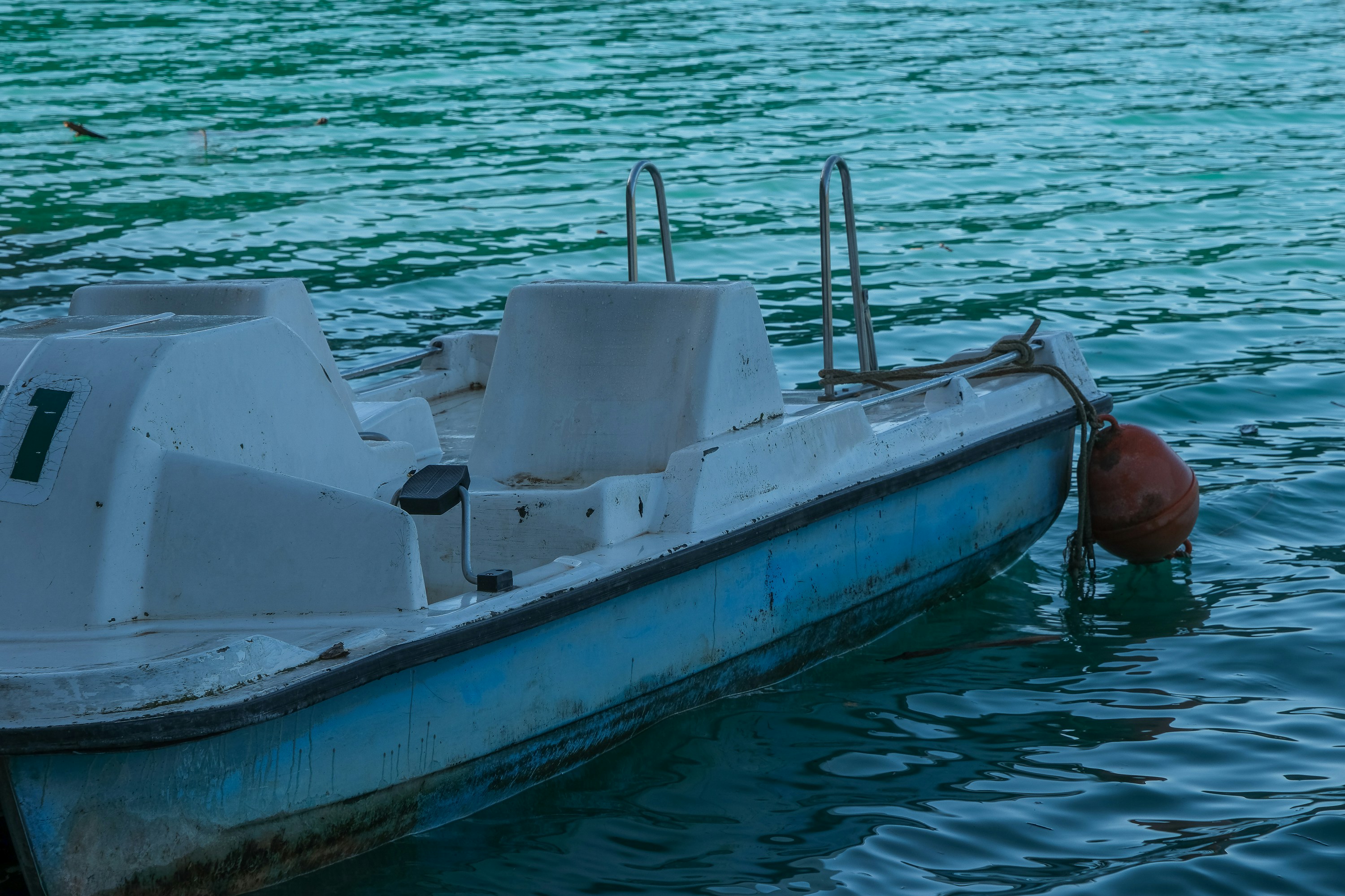 Photo by cestmoisheedy