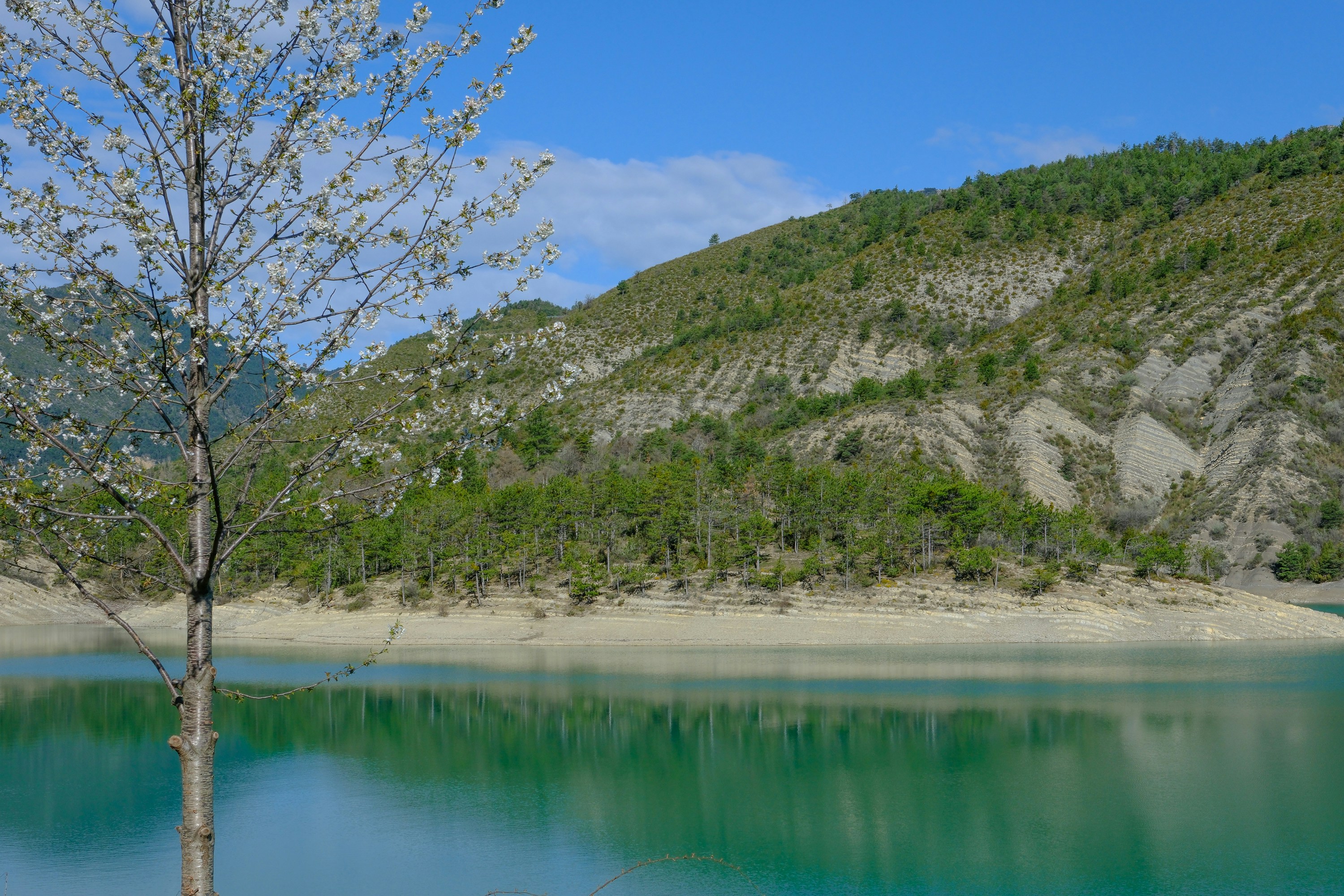 Photo by cestmoisheedy