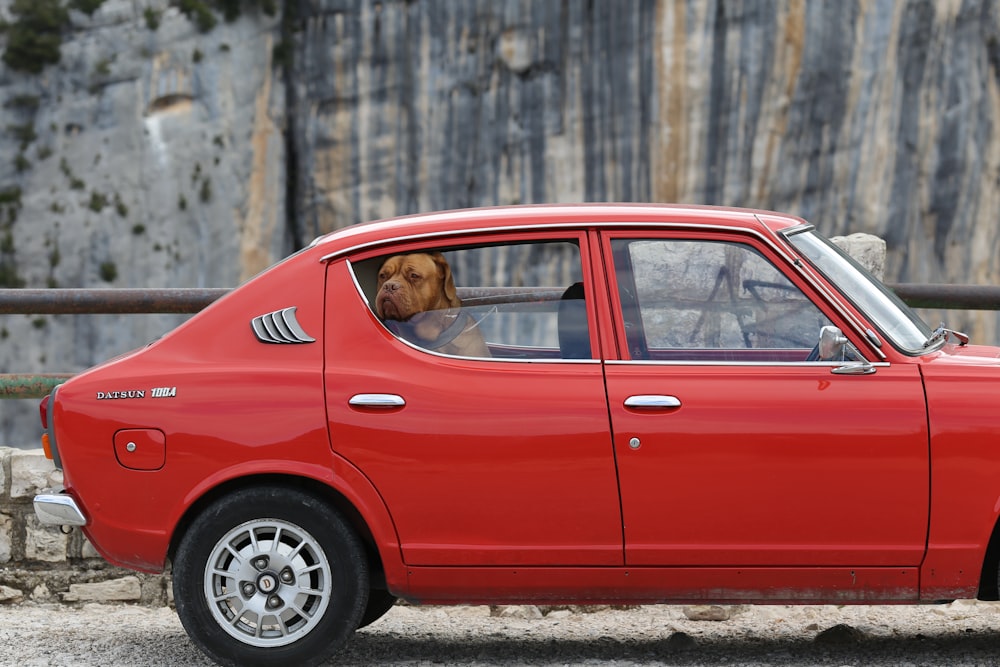 a red car with a dog sticking its head out the window