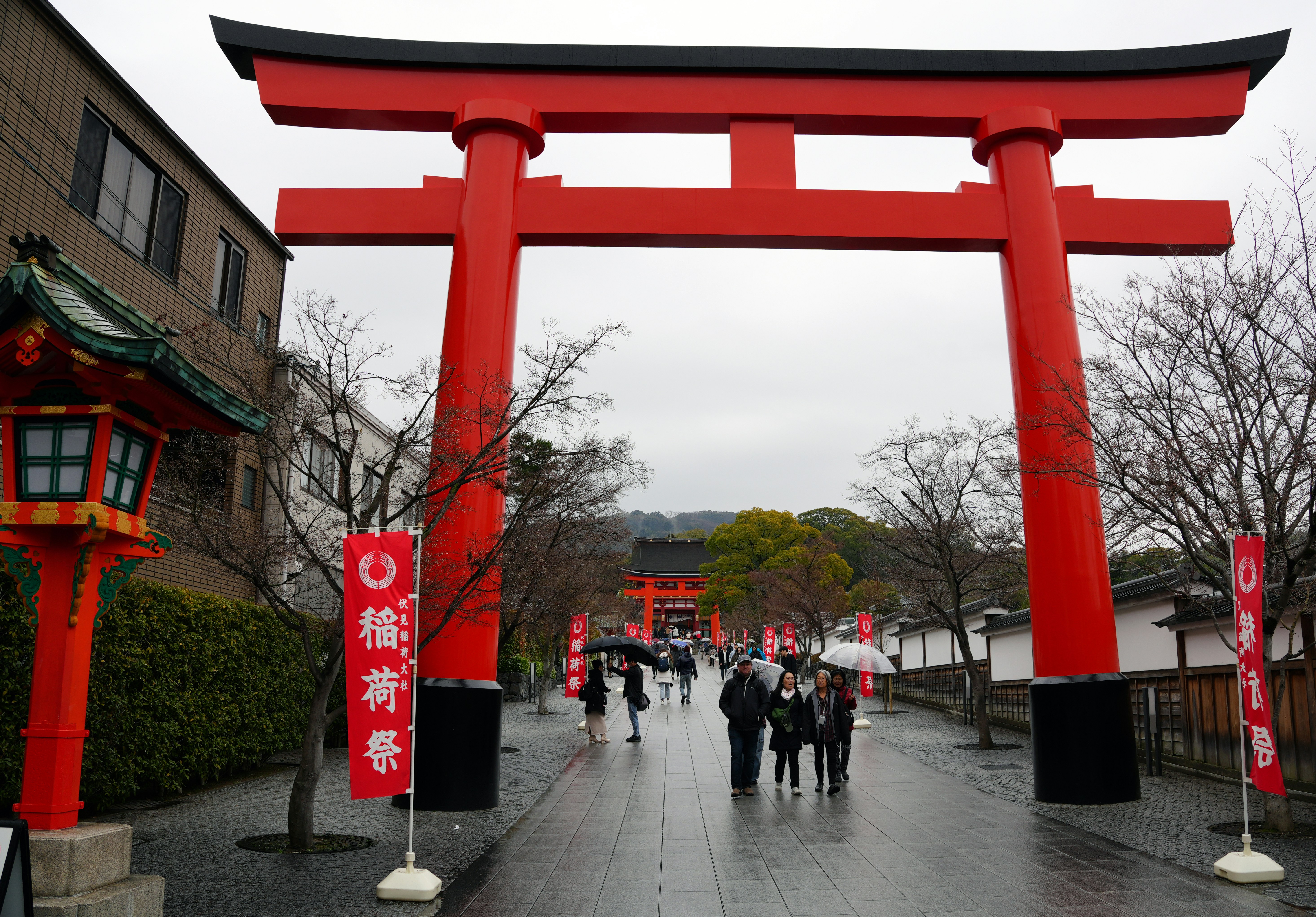 Photo by dm8ryphotos