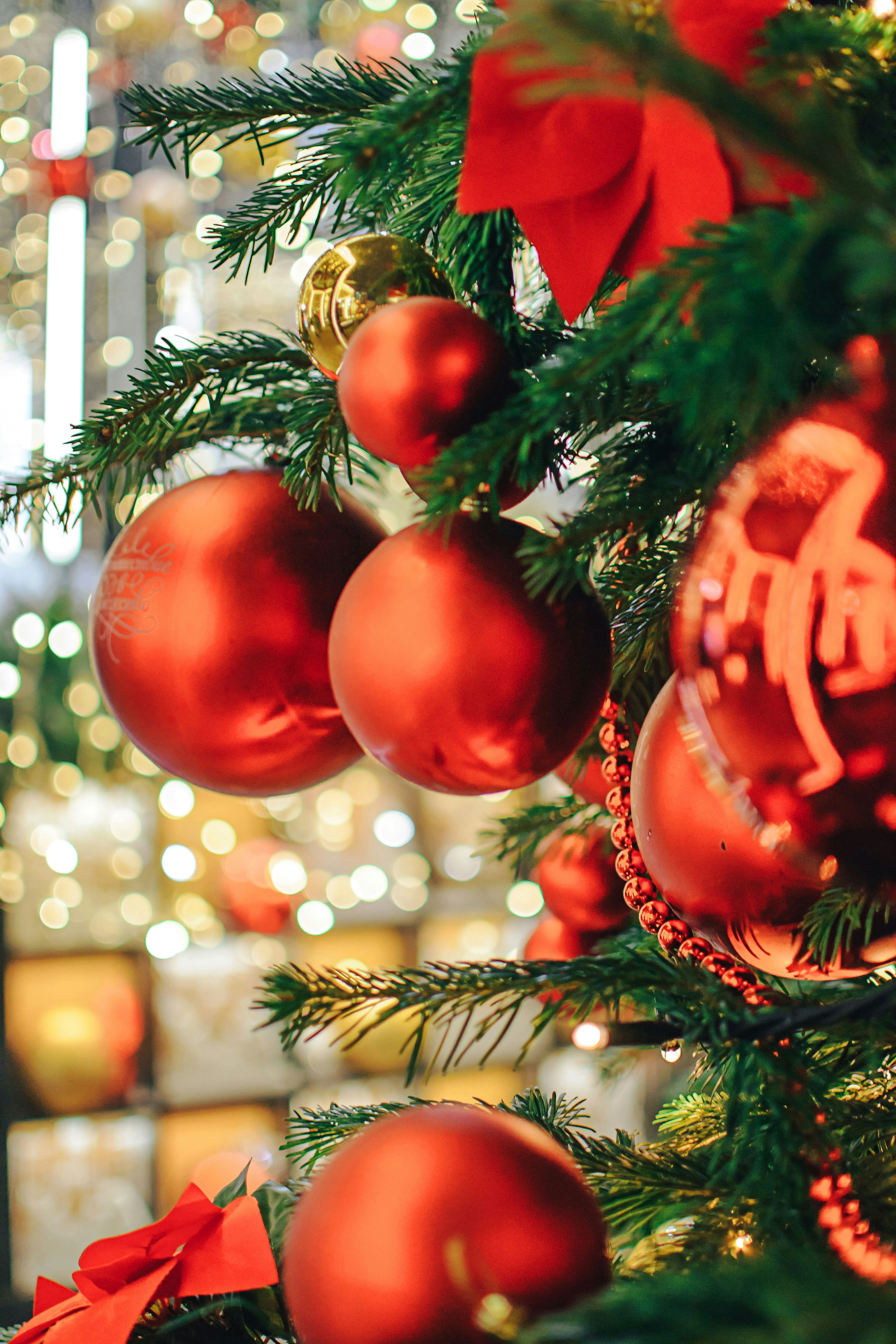 Photo by yura_batiushyn