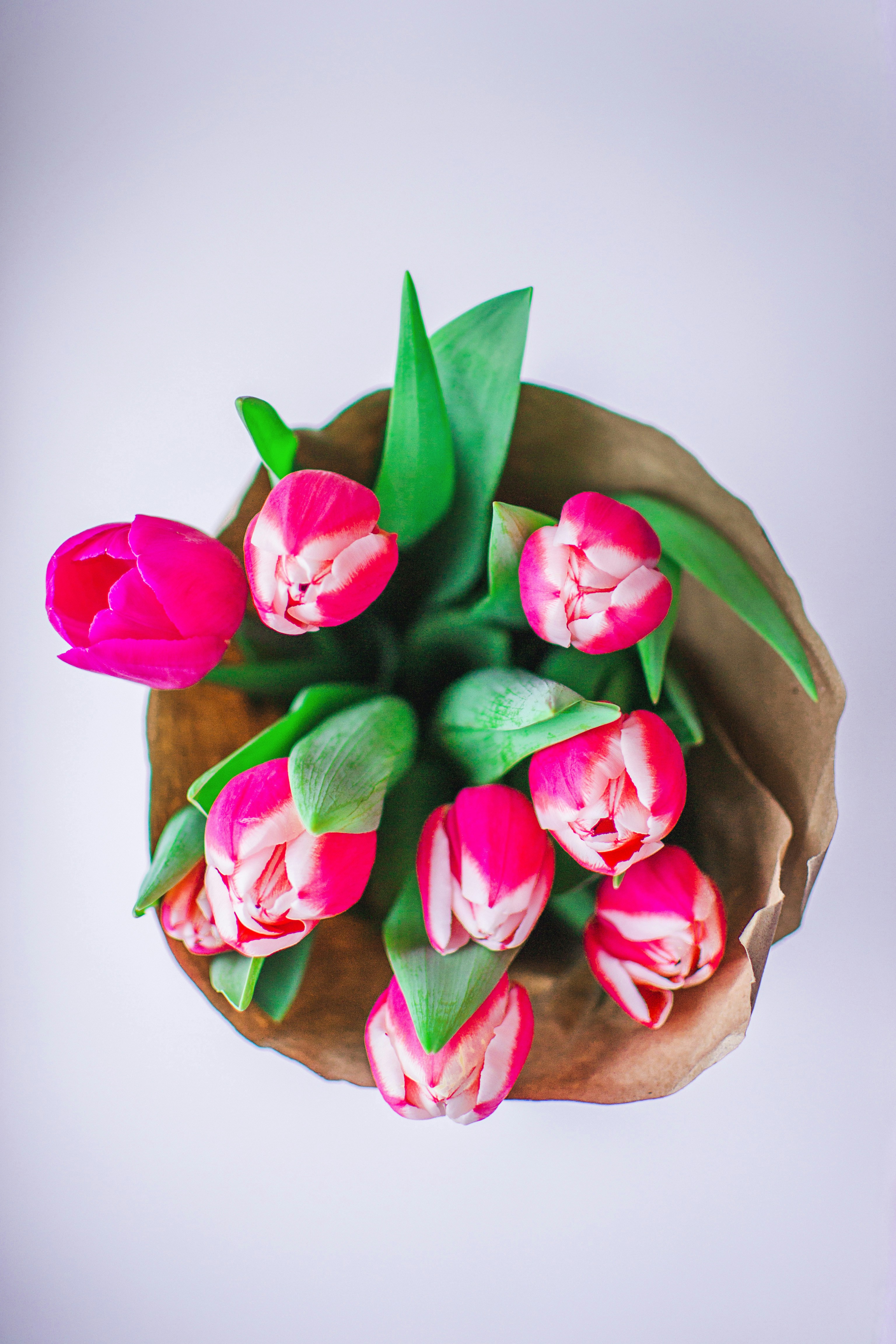 Photo by yura_batiushyn