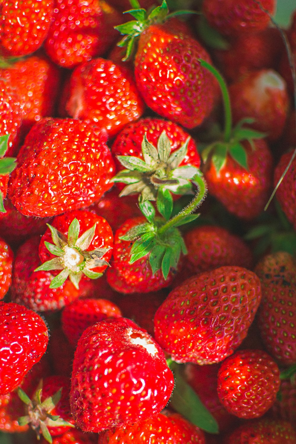 a close up of a bunch of strawberries