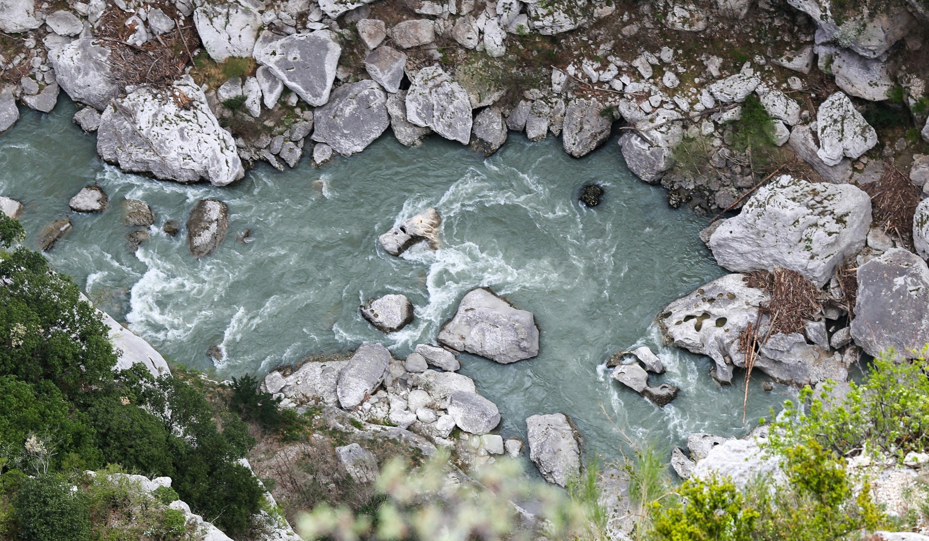 a river running through a lush green forest, 